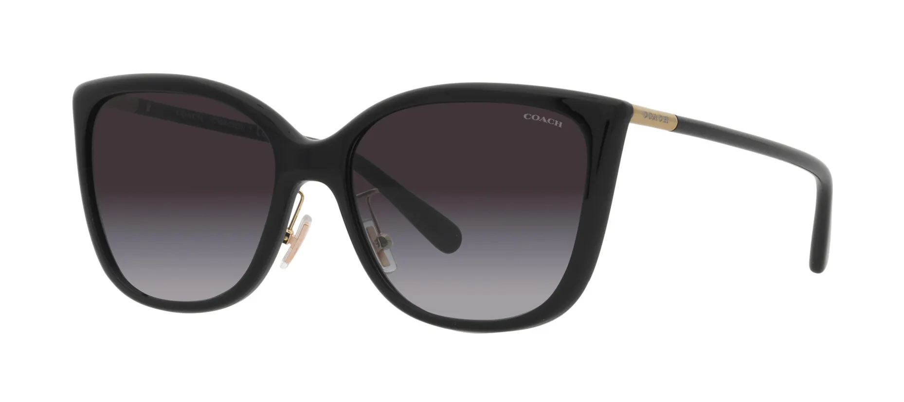 Angle_Left01, Coach C9206 0HC8345 50028G Sonnenbrille