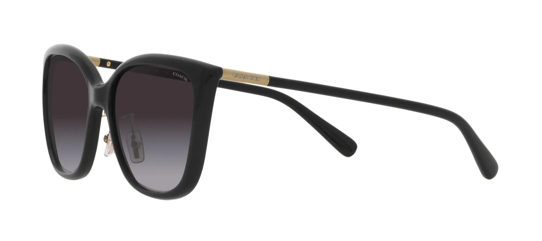 Angle_Left02, Coach C9206 0HC8345 50028G Sonnenbrille