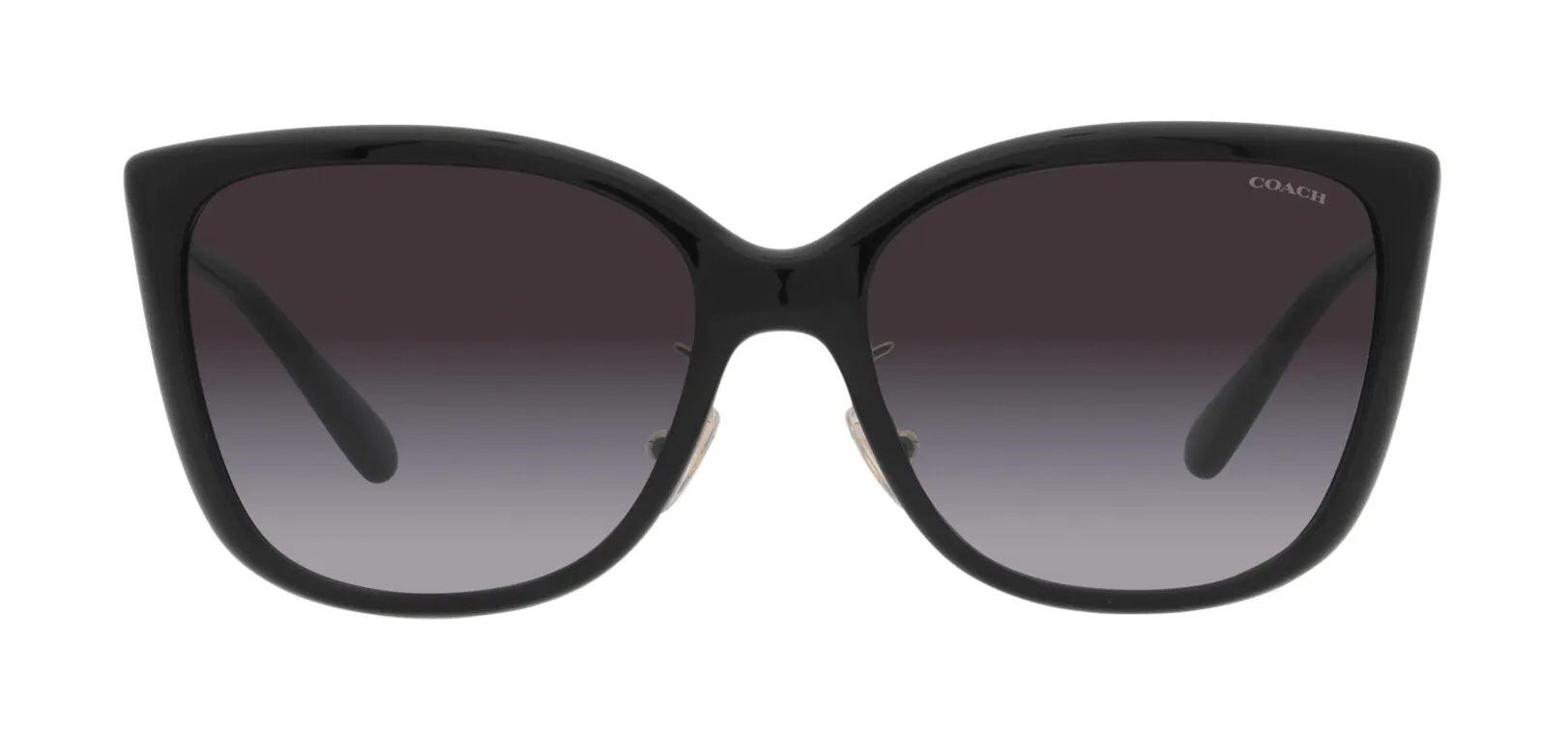 Front, Coach C9206 0HC8345 50028G Sonnenbrille
