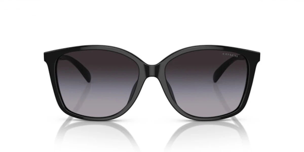 Coach CH558 0HC8361U 50028G Sonnenbrille