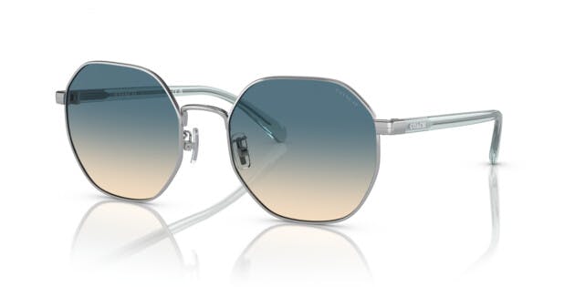 [products.image.angle_left01] Coach CH556 0HC7147 90014M Sonnenbrille