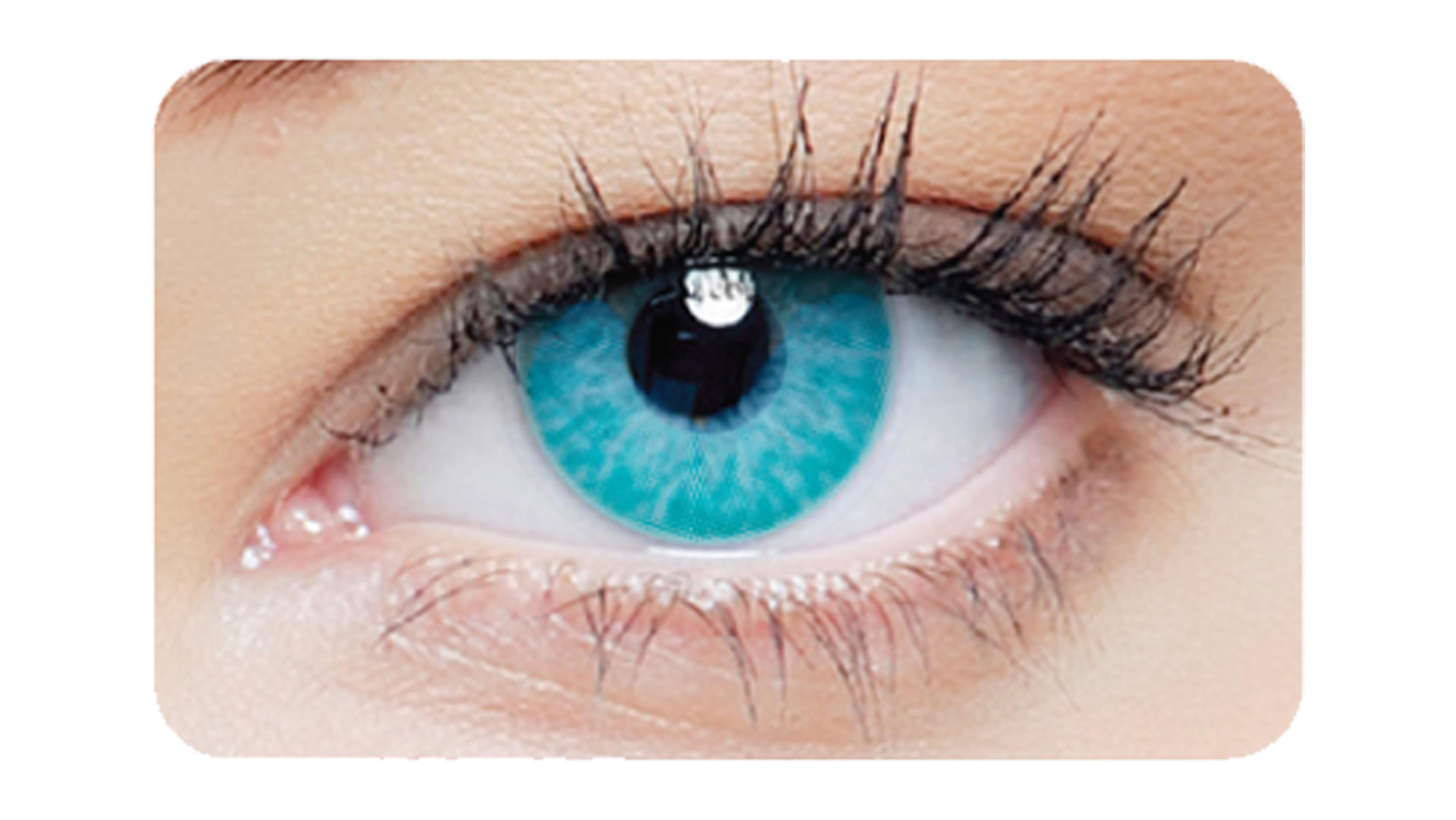 Front clearcolor™ Halloween Kontaktlinsen 1-DAY Blue Tageslinsen 2 Linsen pro Packung, pro Auge