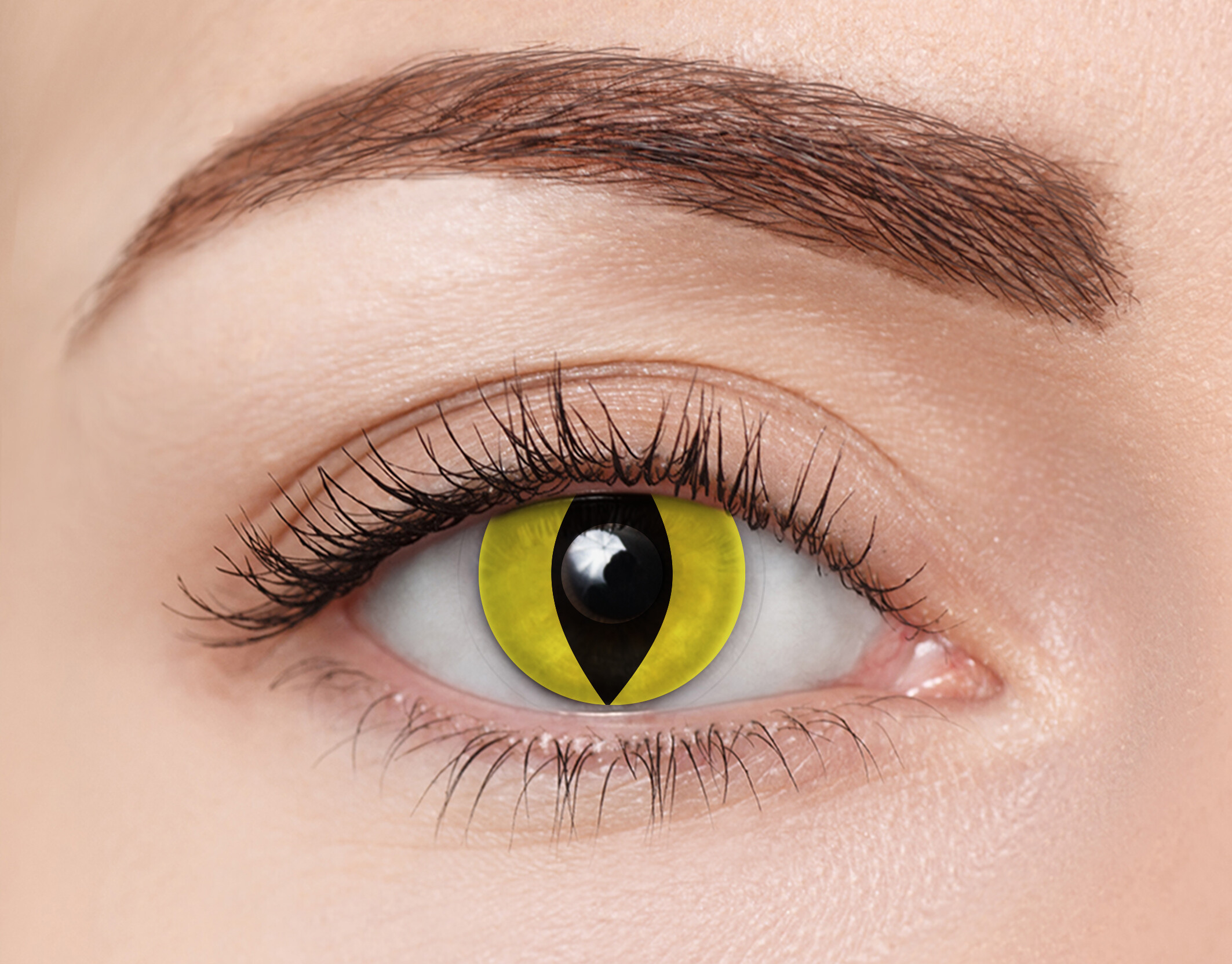 Front clearcolor™ Halloween Kontaktlinsen Yellow Cat Monatslinsen 2 Linsen pro Packung, pro Auge