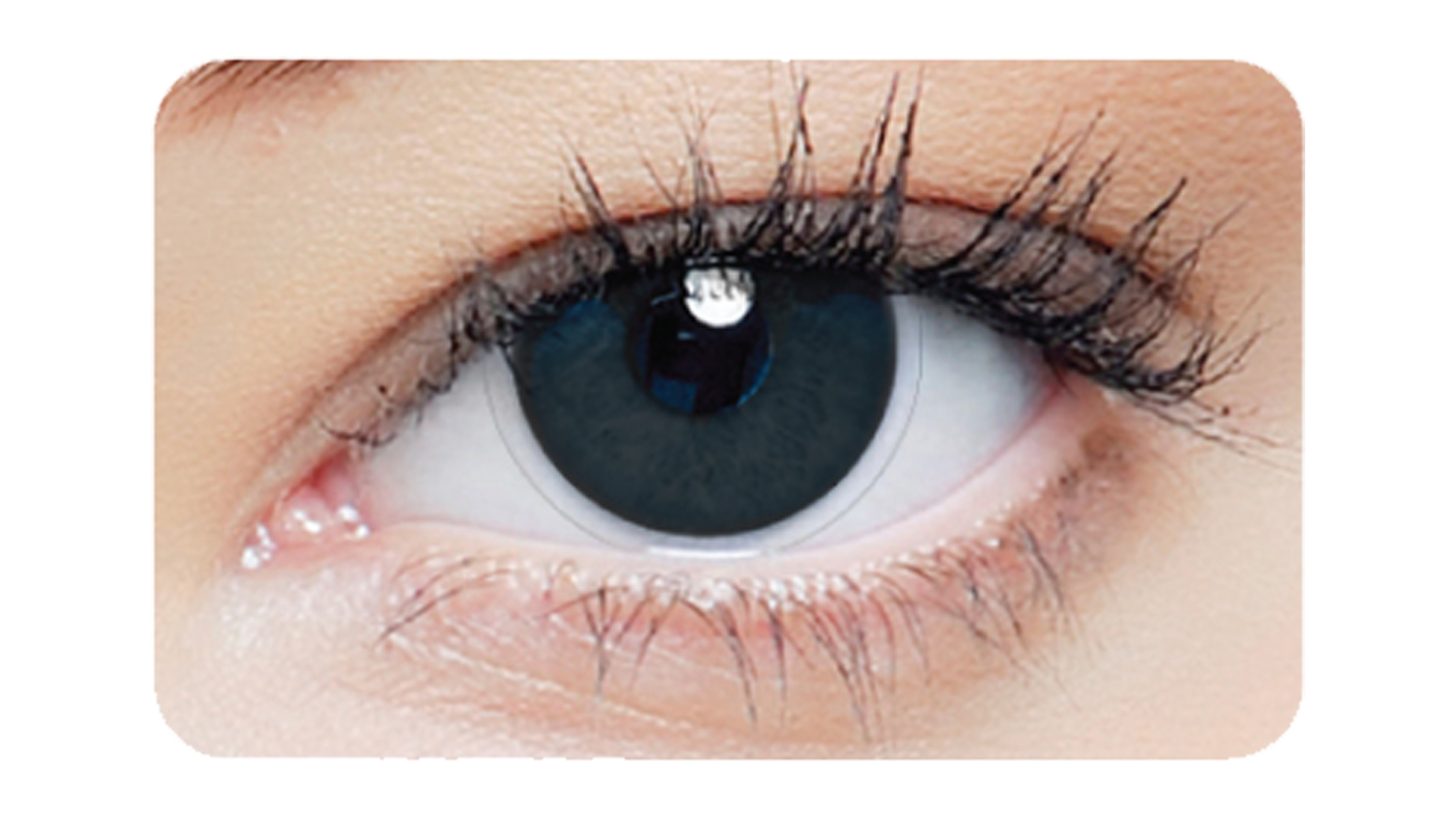 Front clearcolor™ Halloween Kontaktlinsen 1-DAY Black Out Tageslinsen 2 Linsen pro Packung, pro Auge