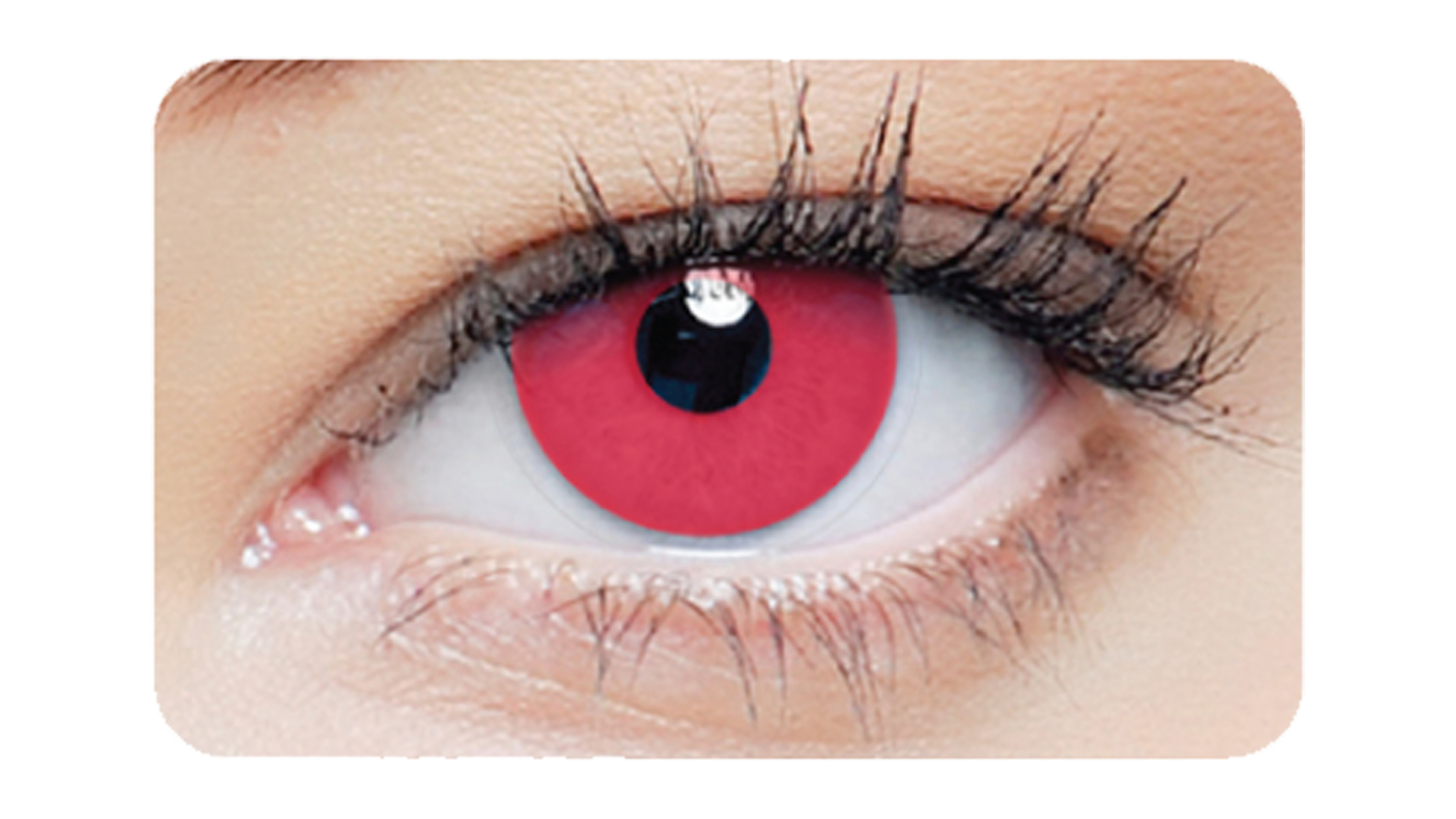Front clearcolor™ Halloween Kontaktlinsen 1-DAY Red Tageslinsen 2 Linsen pro Packung, pro Auge