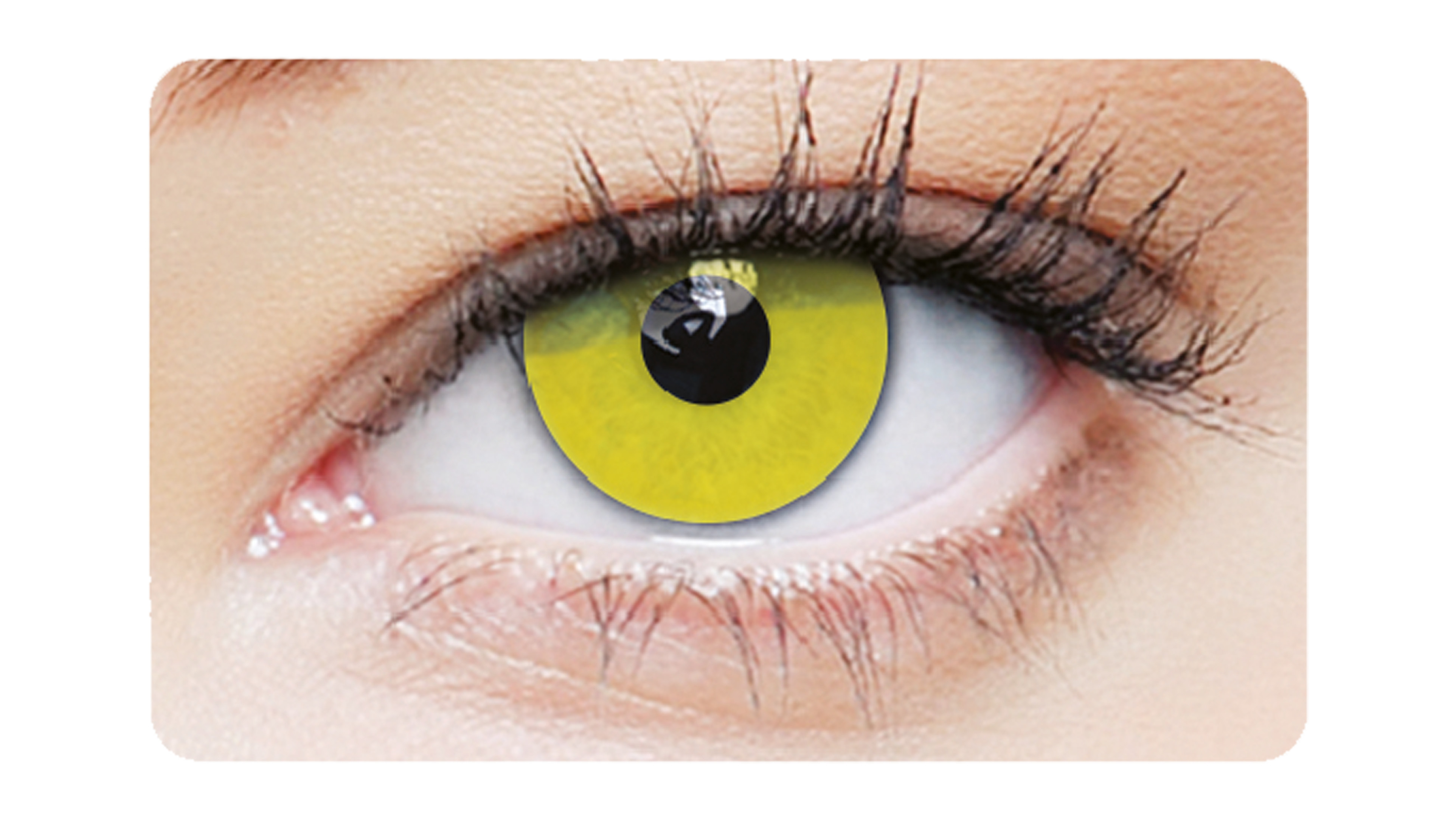 Front clearcolor™ Halloween Kontaktlinsen 1-DAY Zombie Tageslinsen 2 Linsen pro Packung, pro Auge