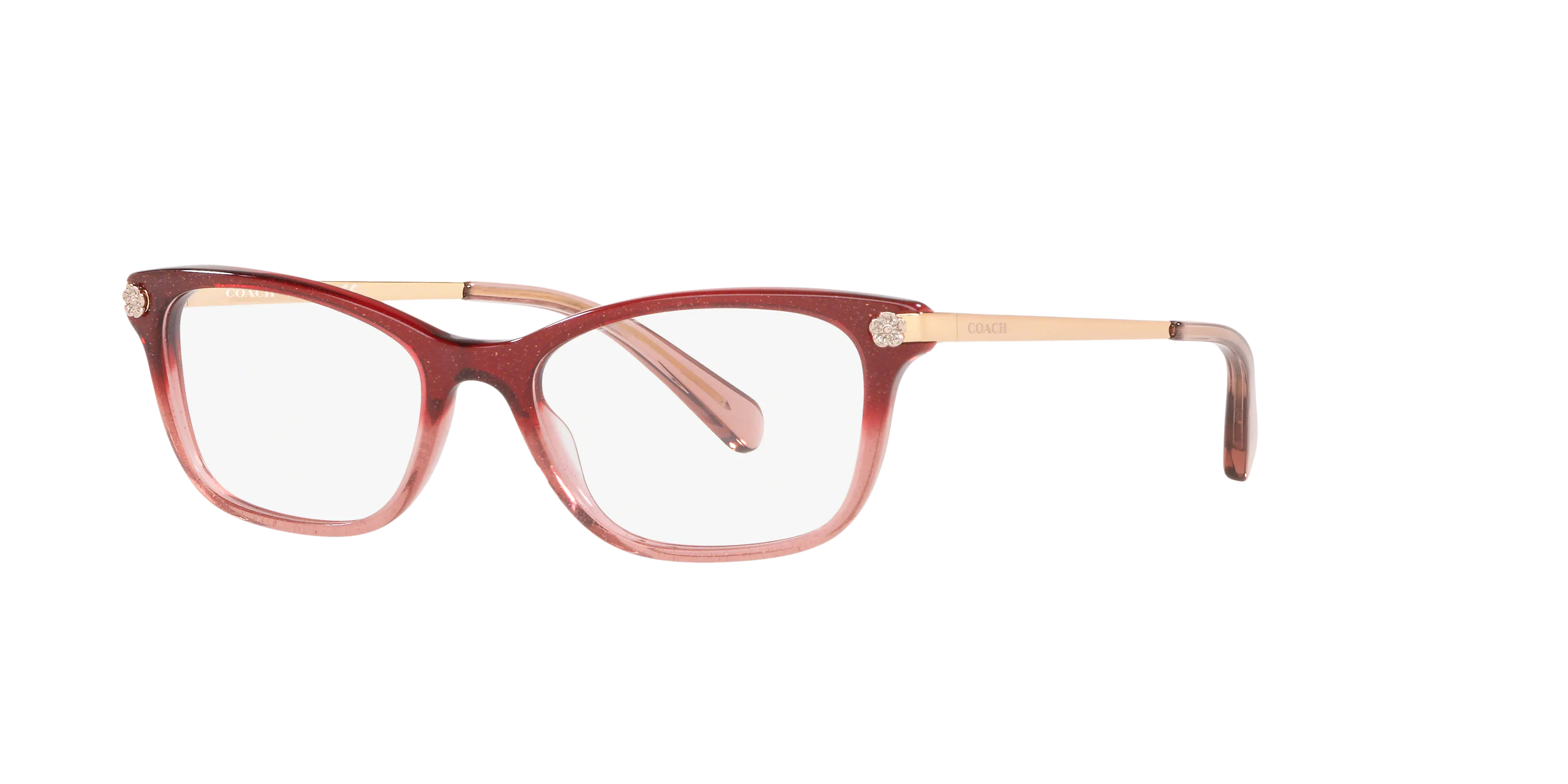 Angle_Left01, Coach HC6142 0HC6142 5551 Brille