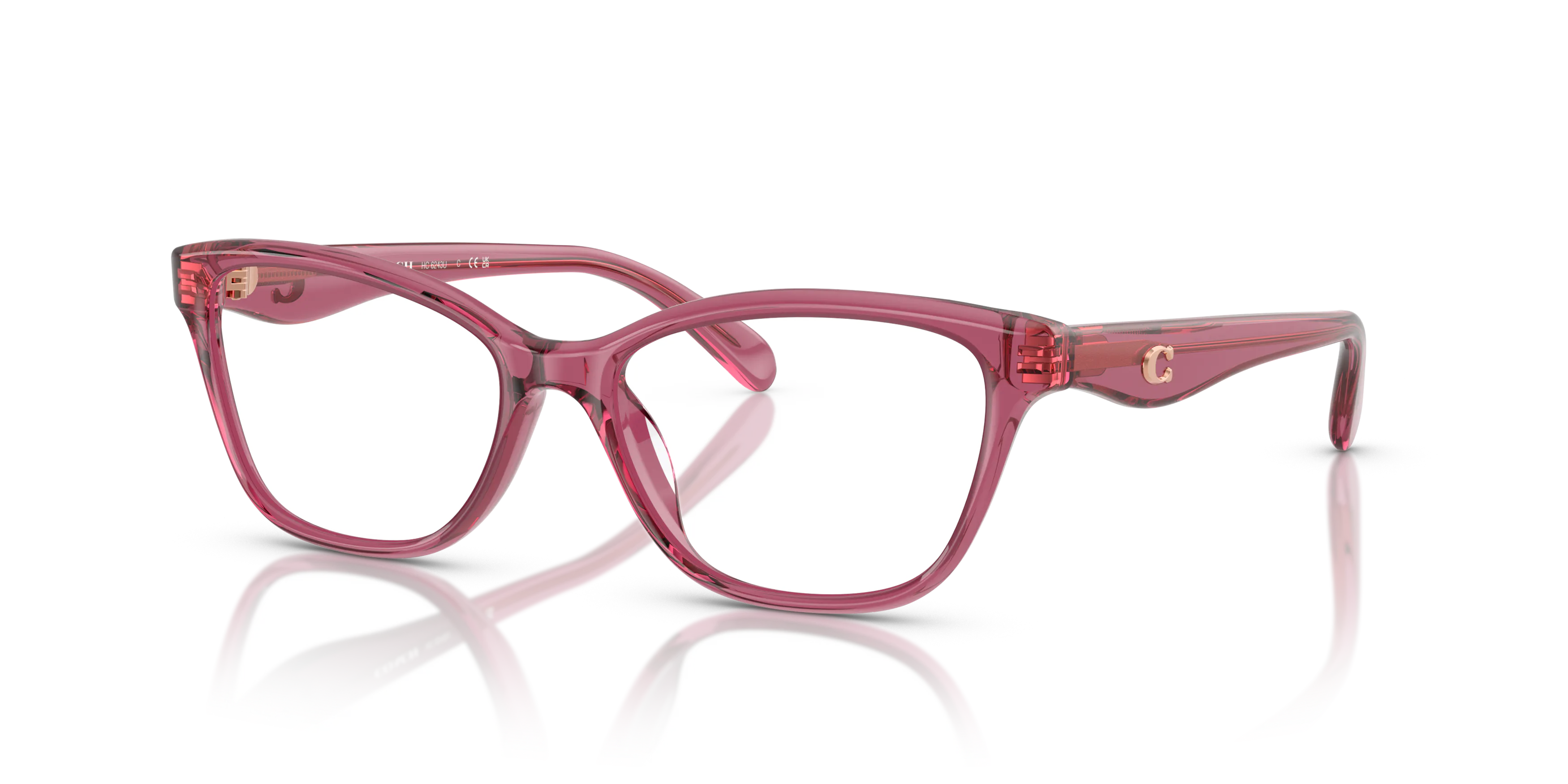 Angle_Left01, Coach 0HC6243U 5824 Brille