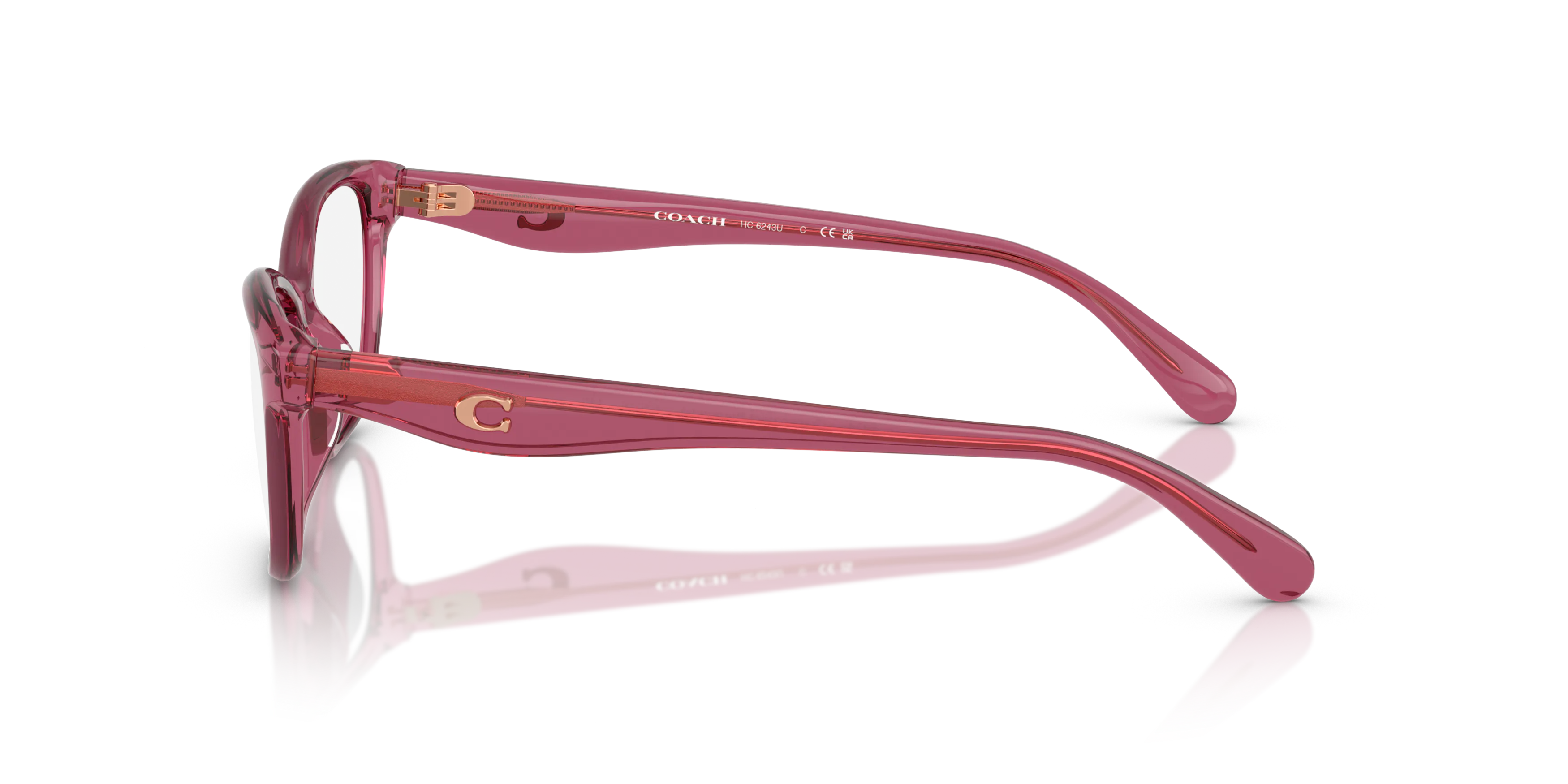 Angle_Left02, Coach 0HC6243U 5824 Brille