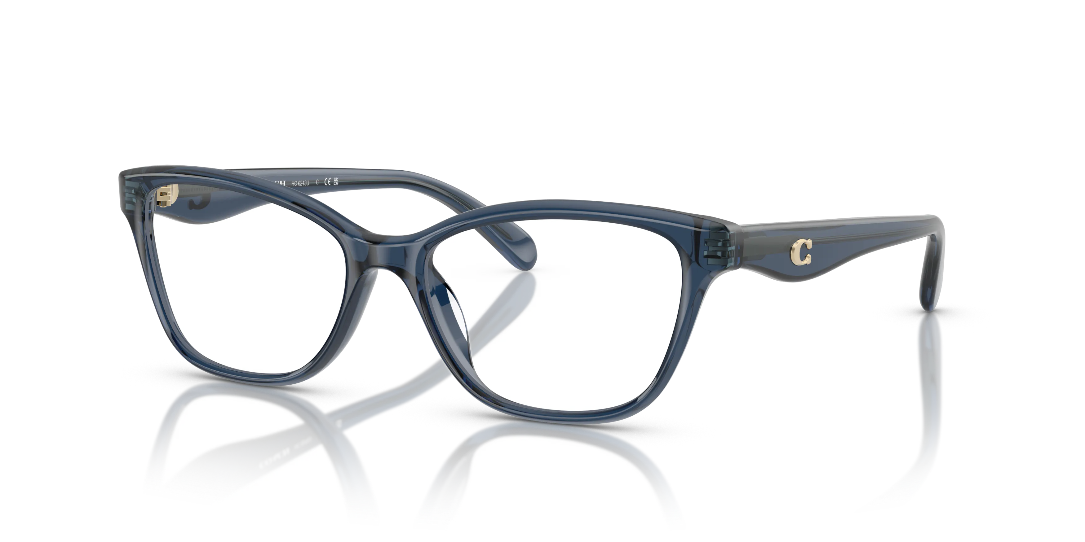 Angle_Left01, Coach HC6243U 0HC6243U 5846 Brille