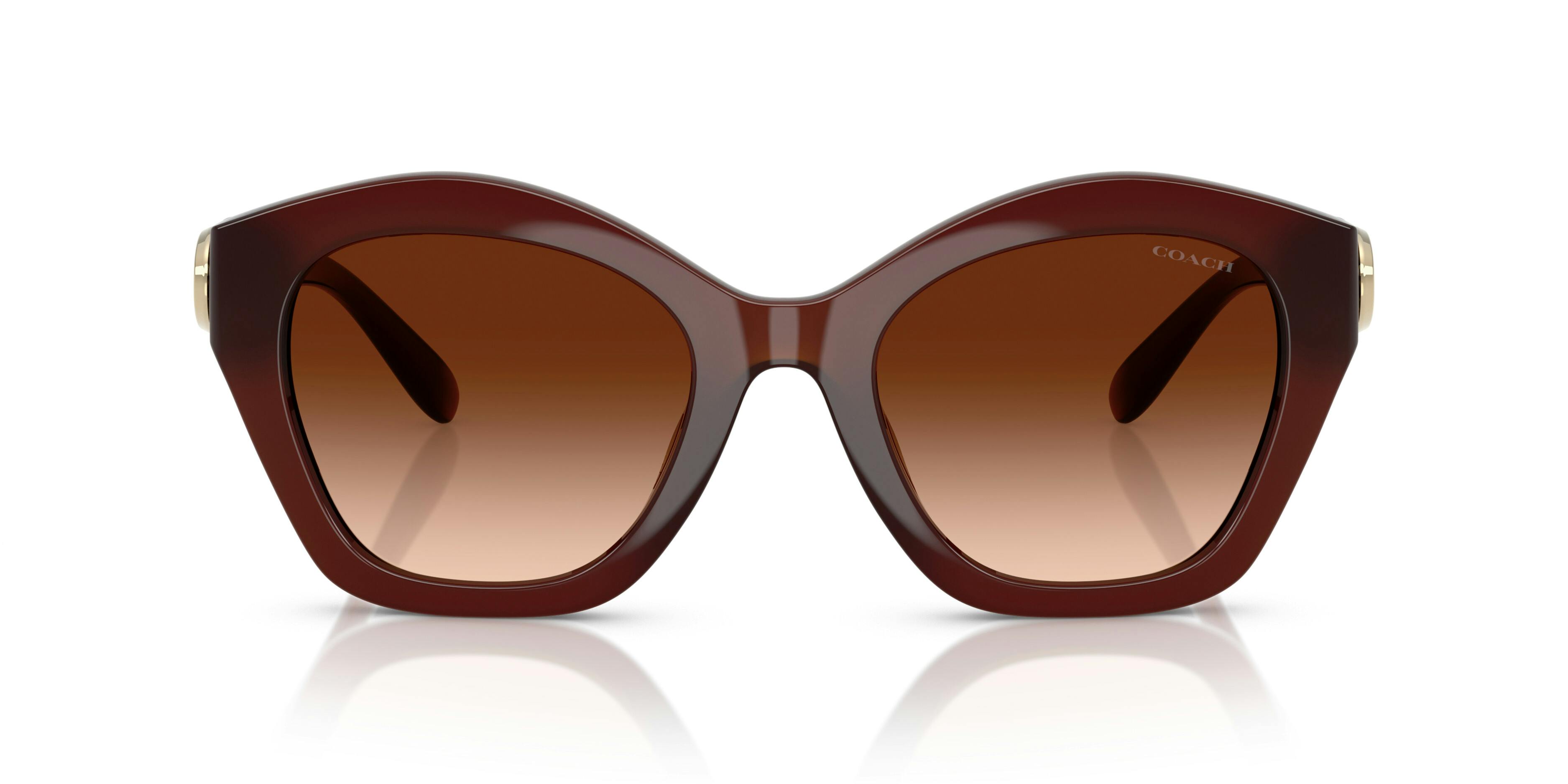 Front, Coach CAD31 0HC8421U 584174 Sonnenbrille