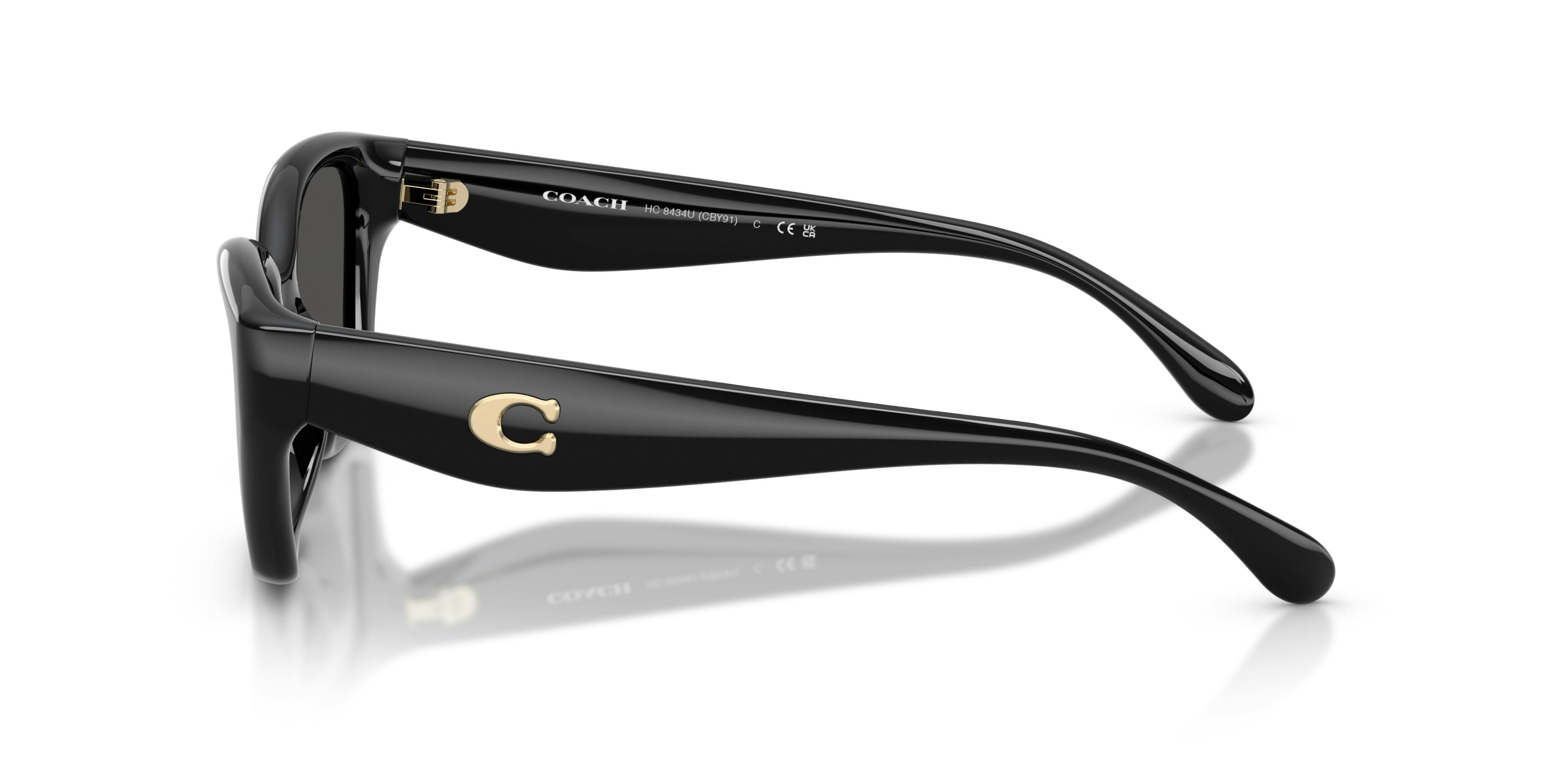 Angle_Left02, Coach 0HC8434U 500287 Sonnenbrille