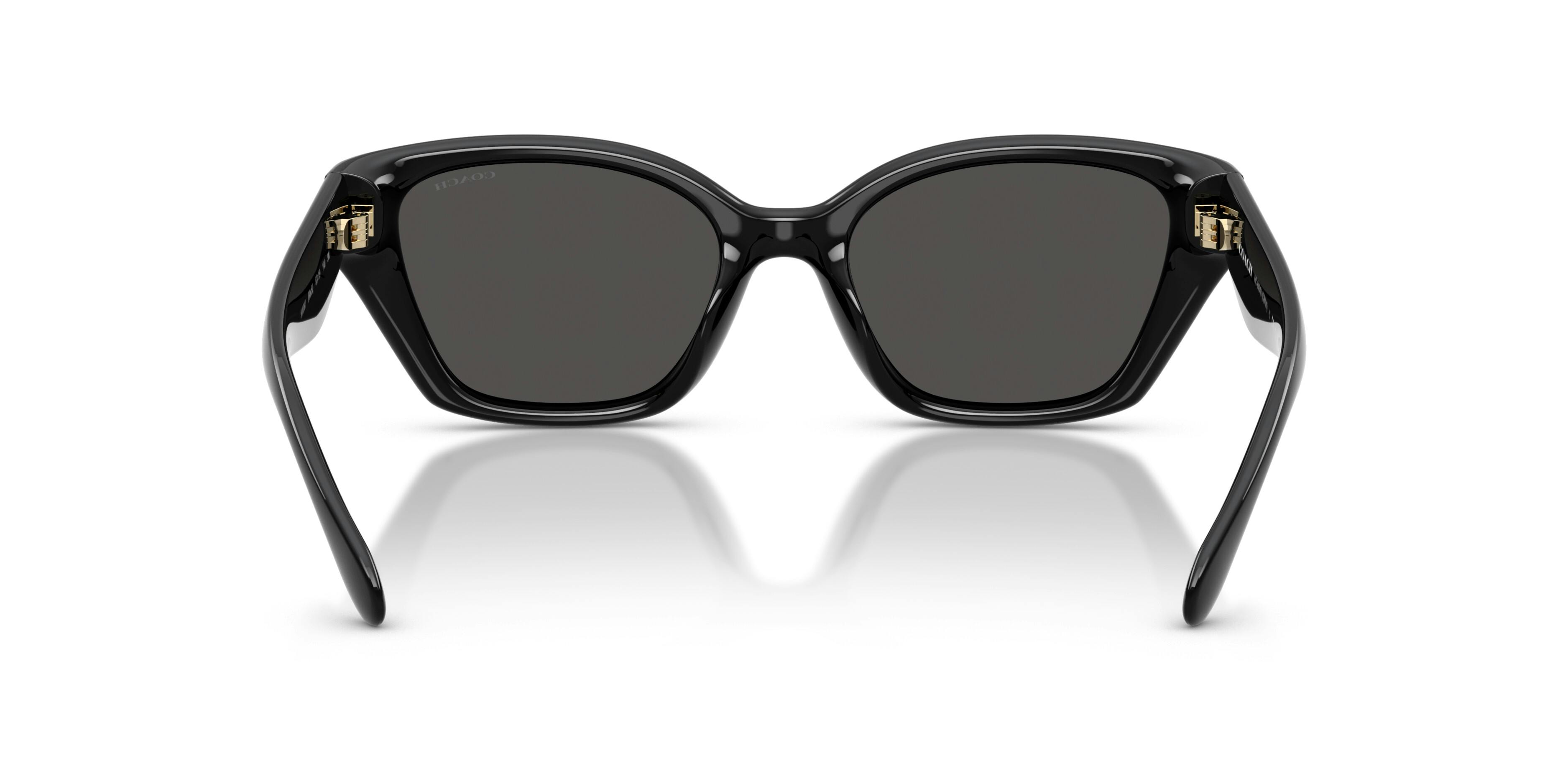 Detail02, Coach 0HC8434U 500287 Sonnenbrille