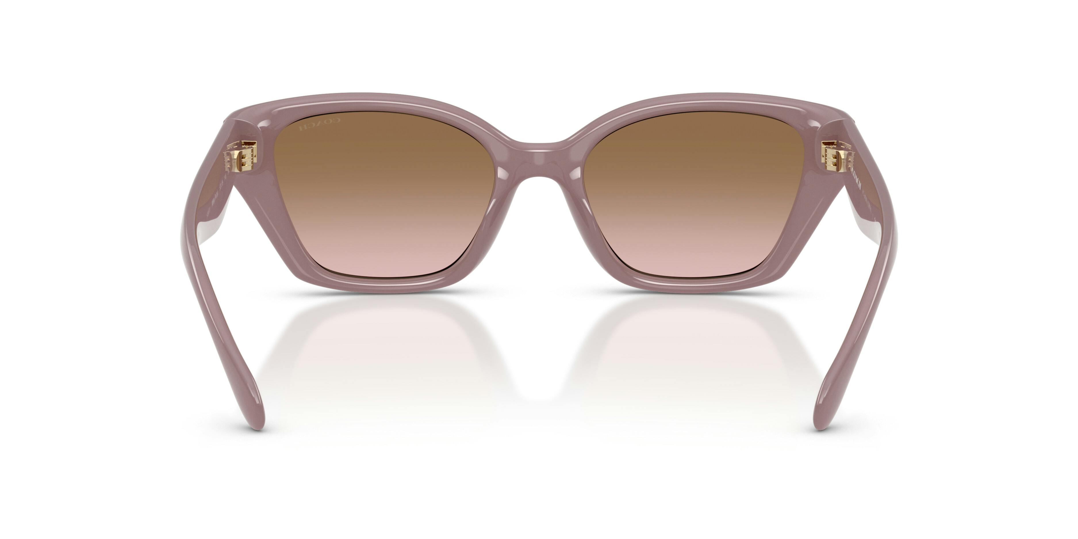 Detail02, Coach CBY91 0HC8434U 549511 Sonnenbrille