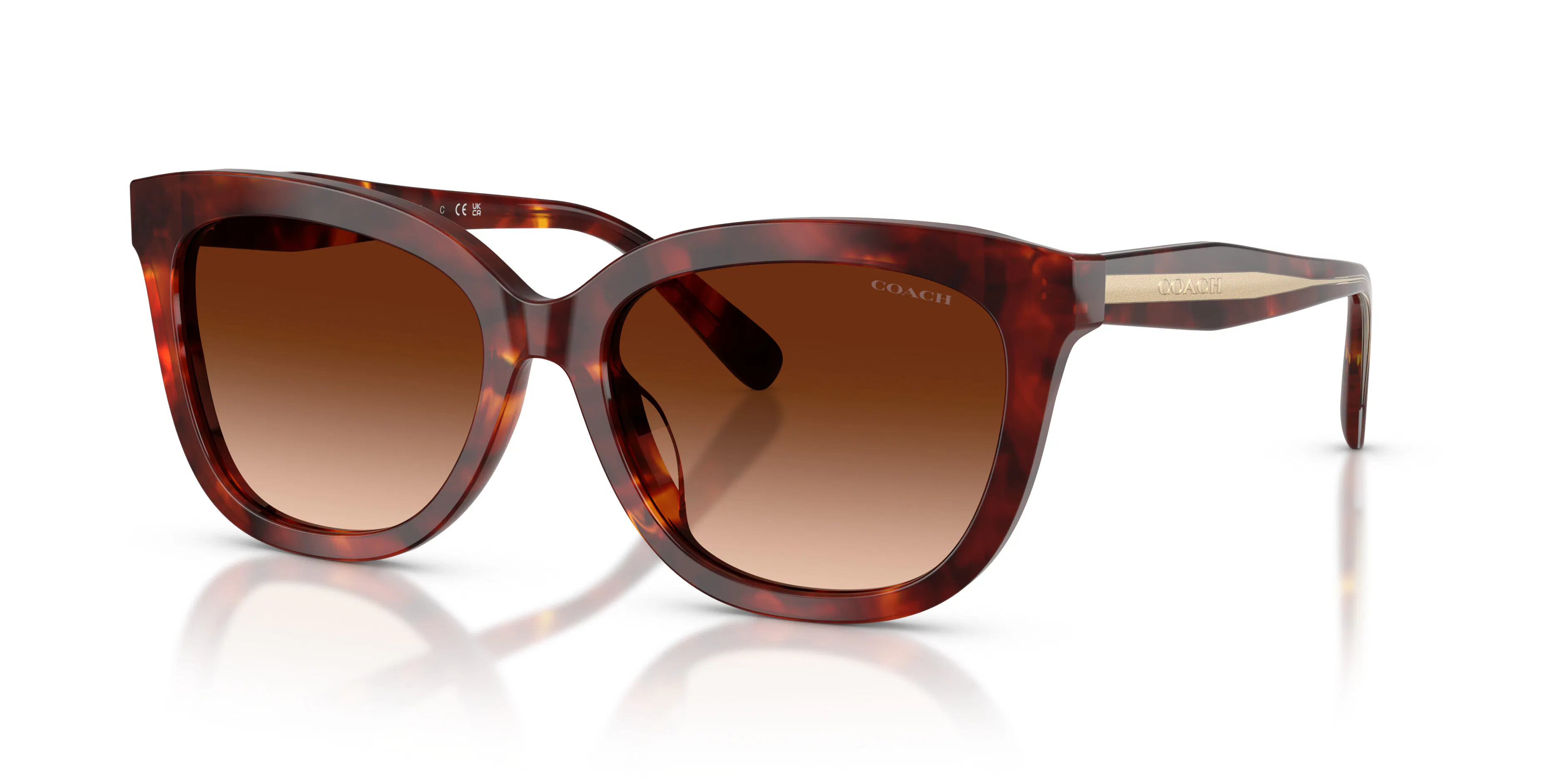 Angle_Left01, Coach CDP53 0HC8453U 593874 Sonnenbrille