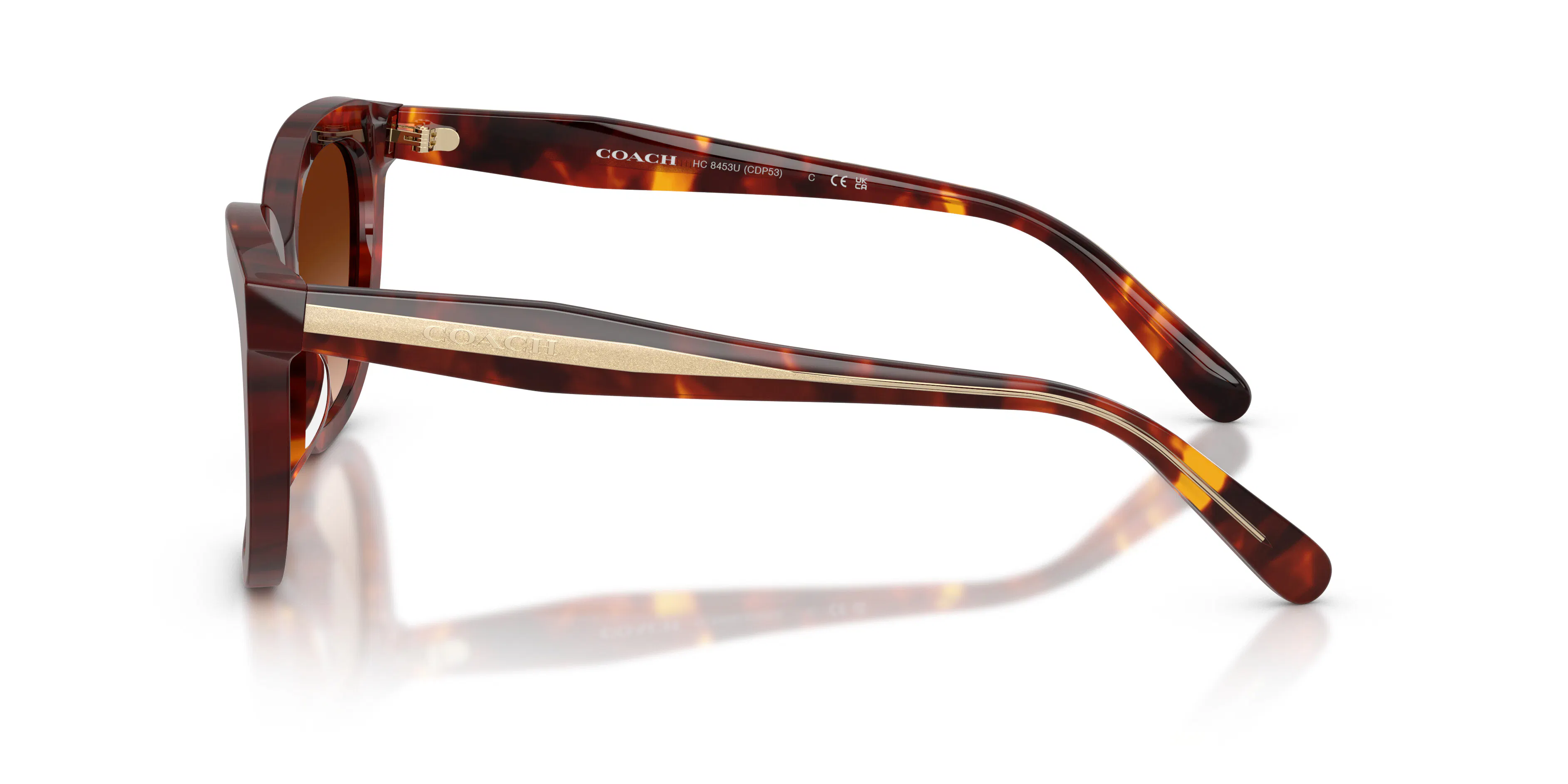 Angle_Left02, Coach CDP53 0HC8453U 593874 Sonnenbrille