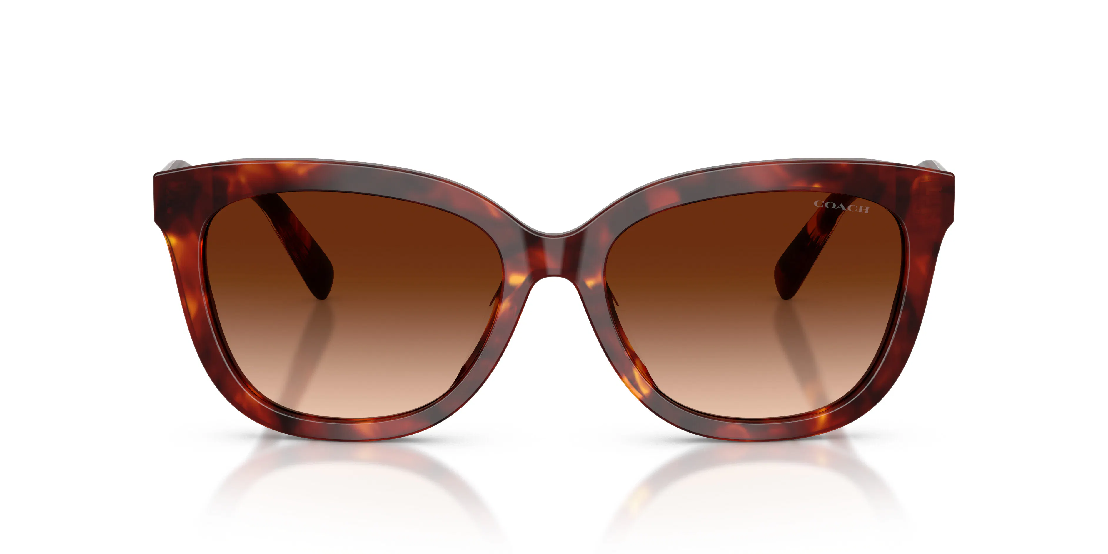Front, Coach CDP53 0HC8453U 593874 Sonnenbrille