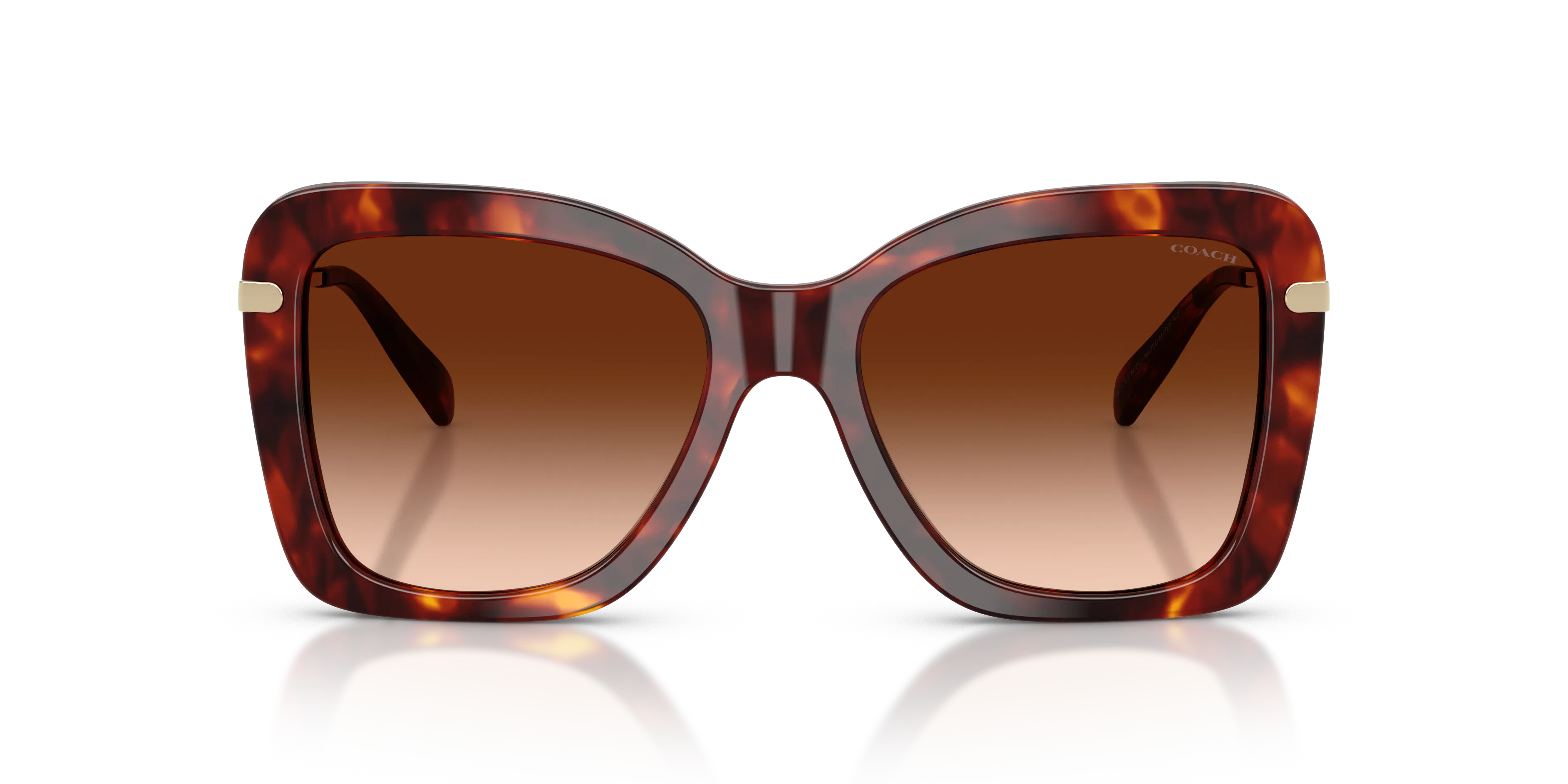 Front, Coach CFU03 0HC8461U 593874 Sonnenbrille