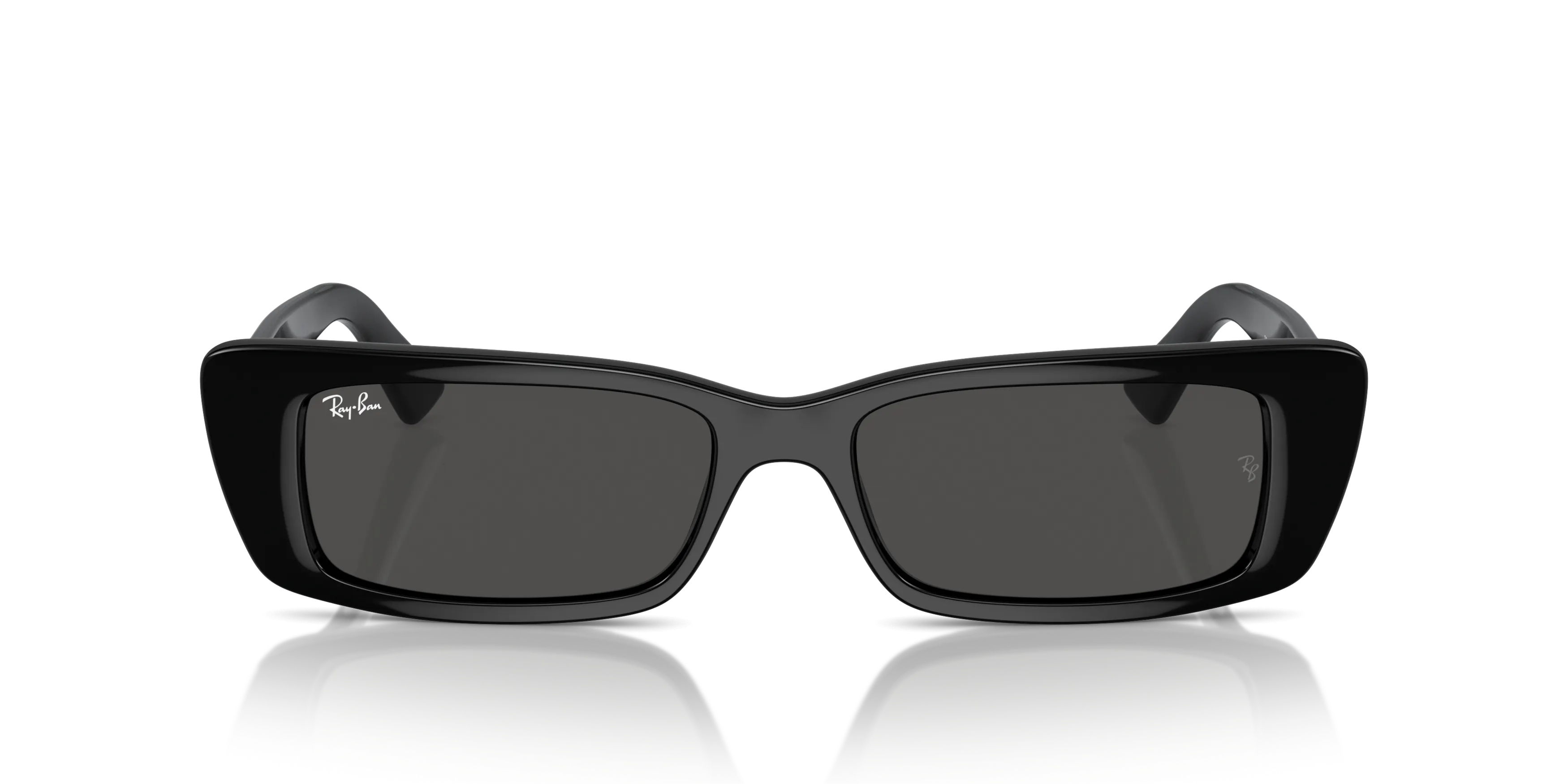 Front, Ray-Ban TERU 0RB4425 667787 Sonnenbrille