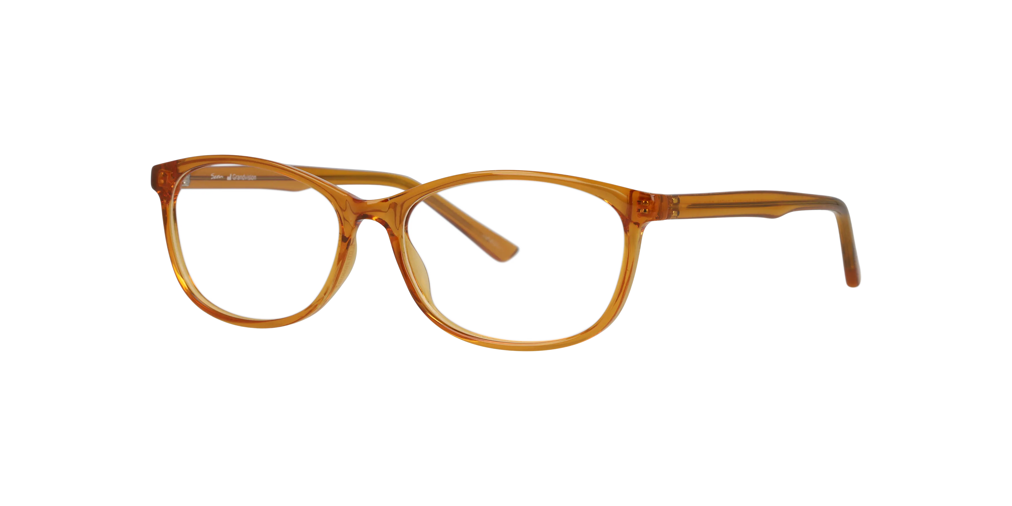 Angle_Left01, Seen SNIF09 0NE3039 3300 Brille