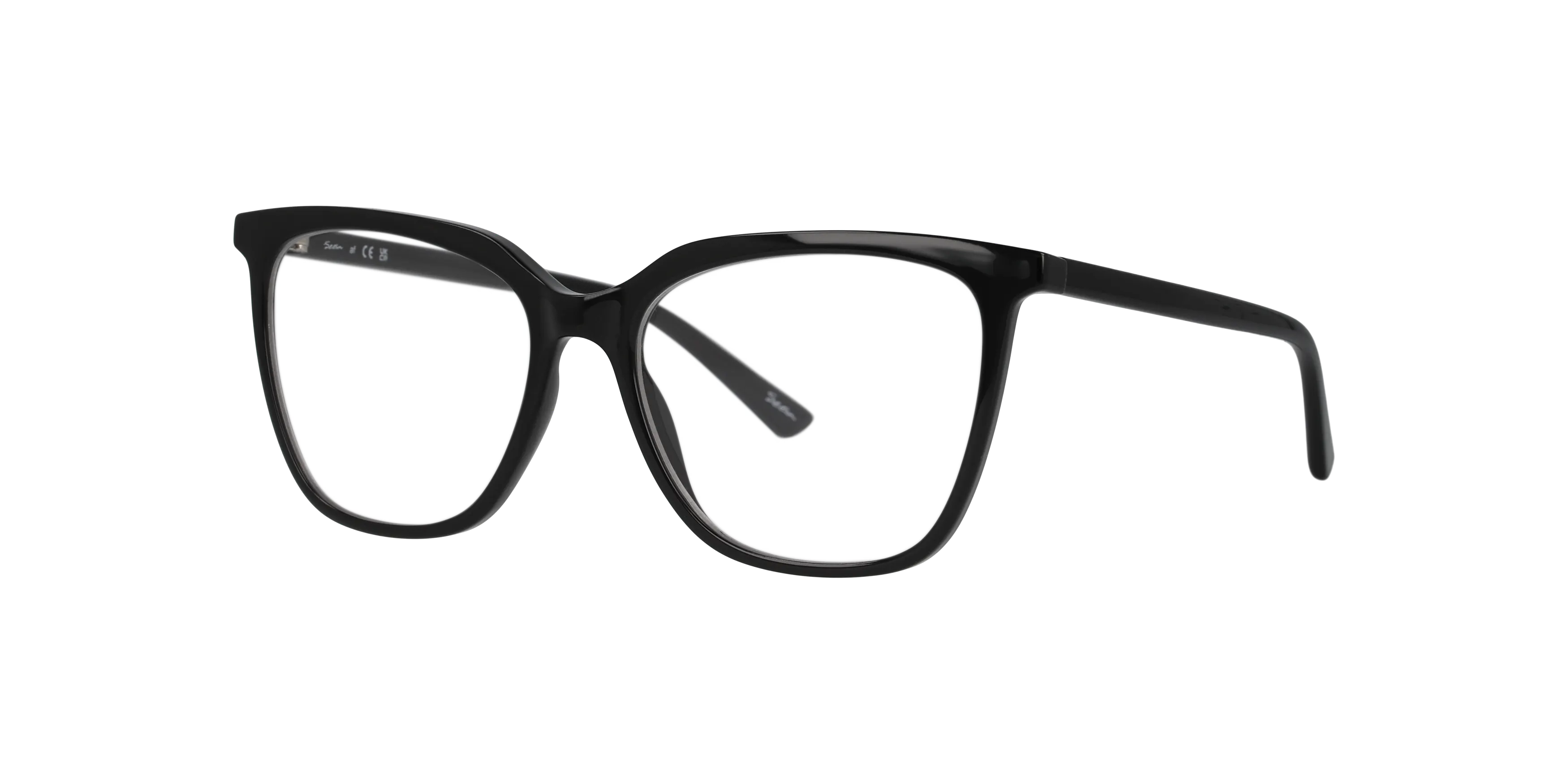 Angle_Left01, Seen NE3076 0NE3076 001 Brille