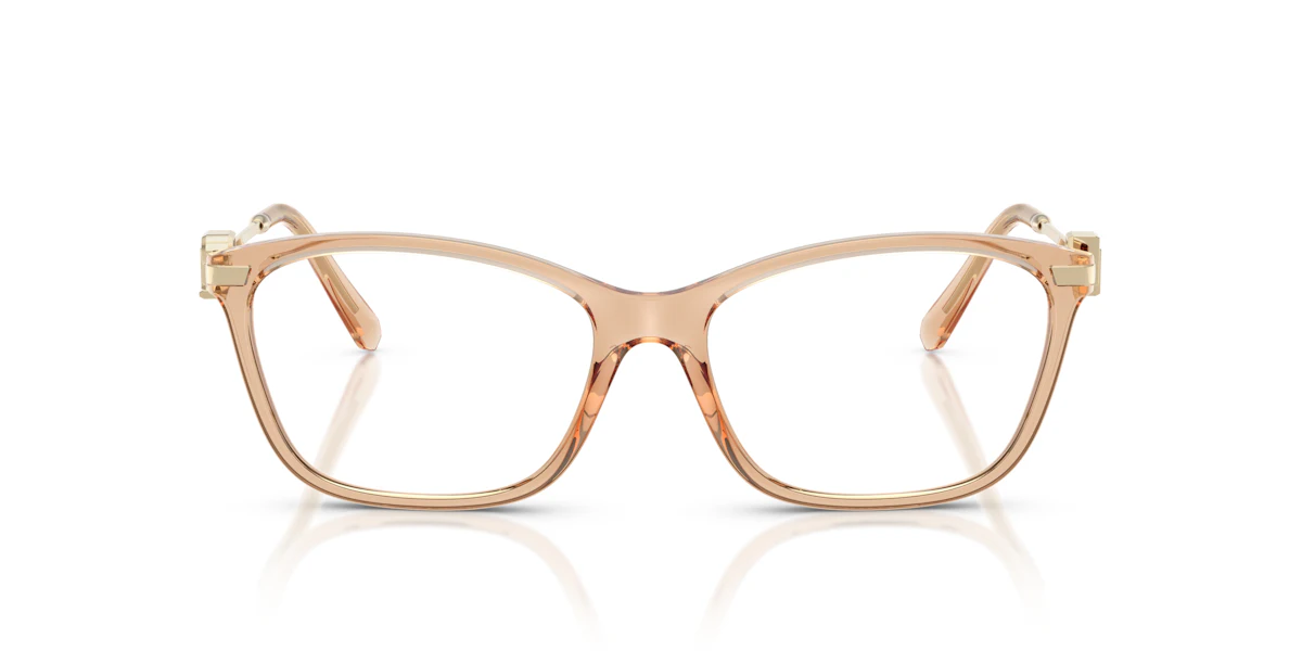 Ralph Lauren RL6247U 0RL6247U 6205 Brille