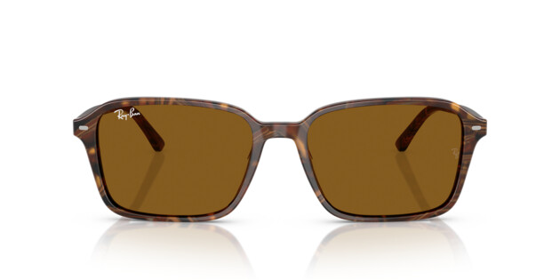 [products.image.front] Ray-Ban 0RB2231 141833 Sonnenbrille