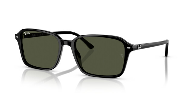 [products.image.angle_left01] Ray-Ban 0RB2231 901/31 Sonnenbrille