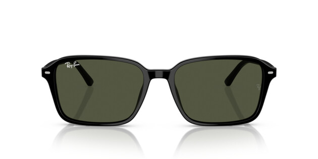 [products.image.front] Ray-Ban 0RB2231 901/31 Sonnenbrille