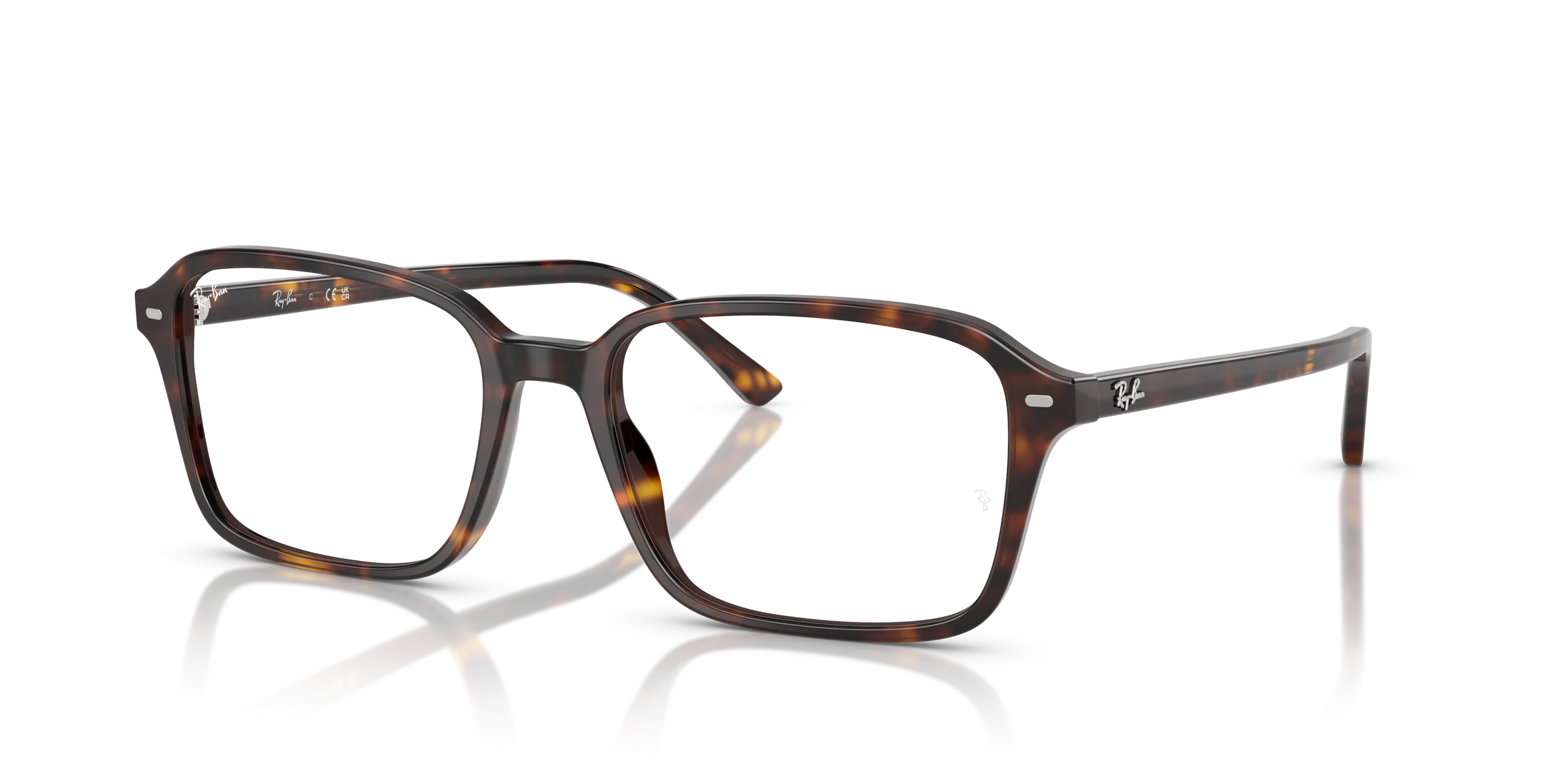 Angle_Left01, Ray-Ban Raimond Optics 0RX5431 2012 Brille