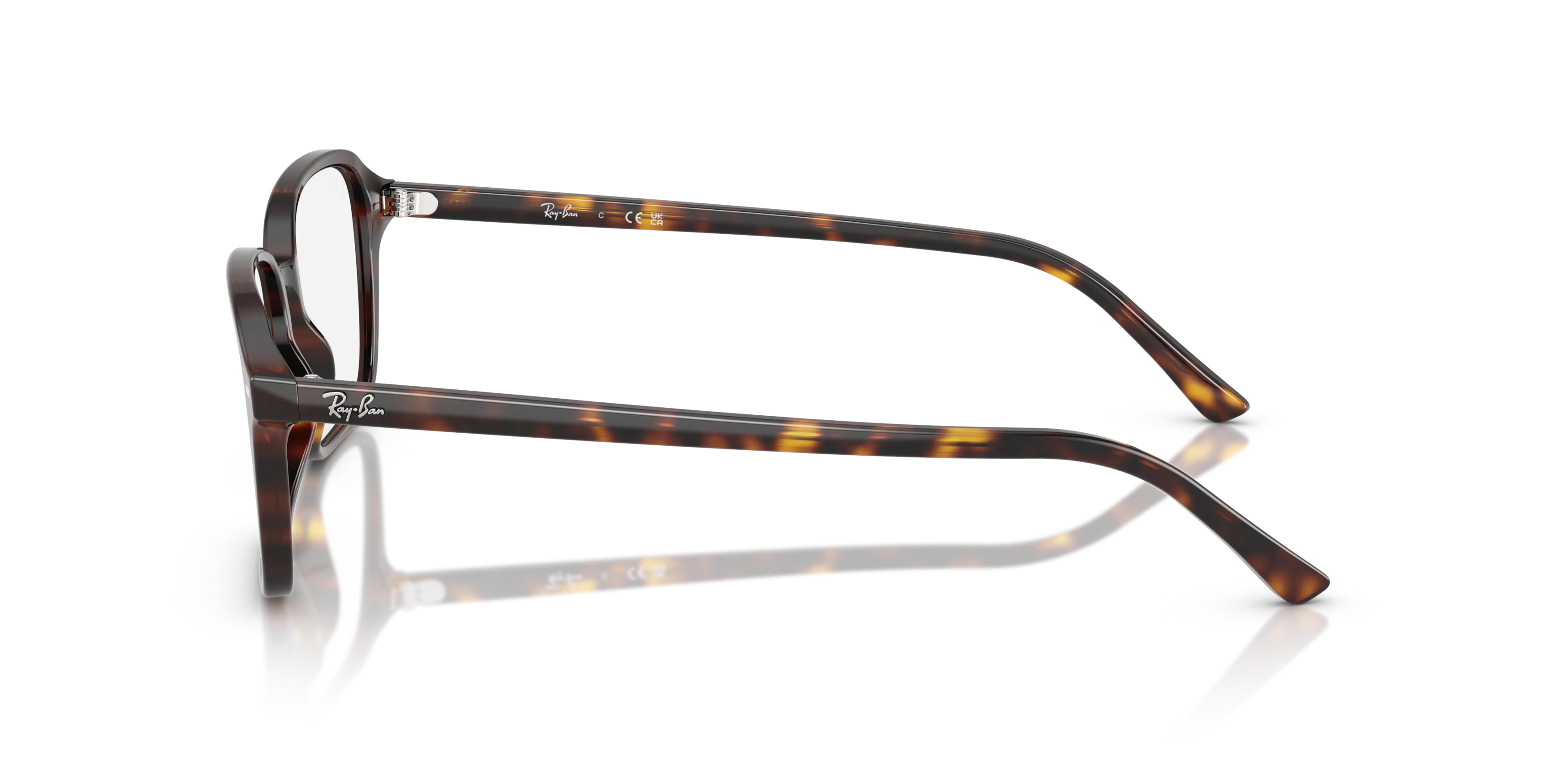 Angle_Left02, Ray-Ban Raimond Optics 0RX5431 2012 Brille