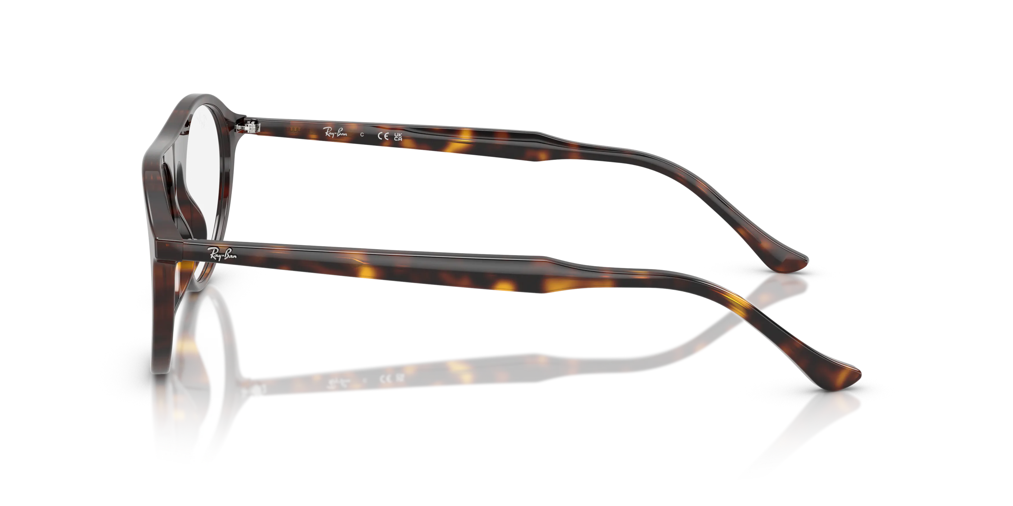 Angle_Left02, Ray-Ban 0RX5441 2012 Brille