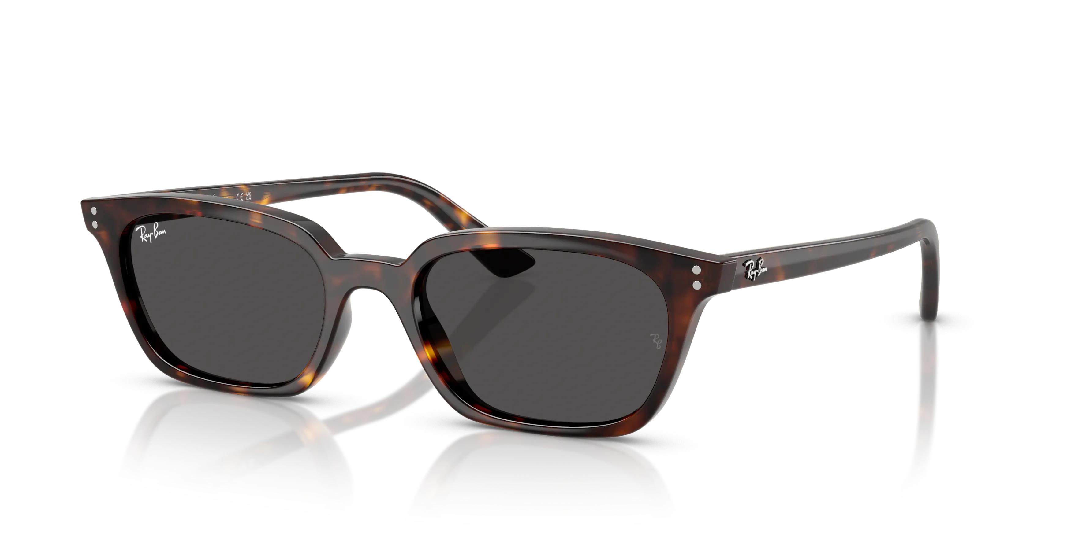 Angle_Left01, Ray-Ban Zaya Bio-Based 0RB4456 135987 Sonnenbrille