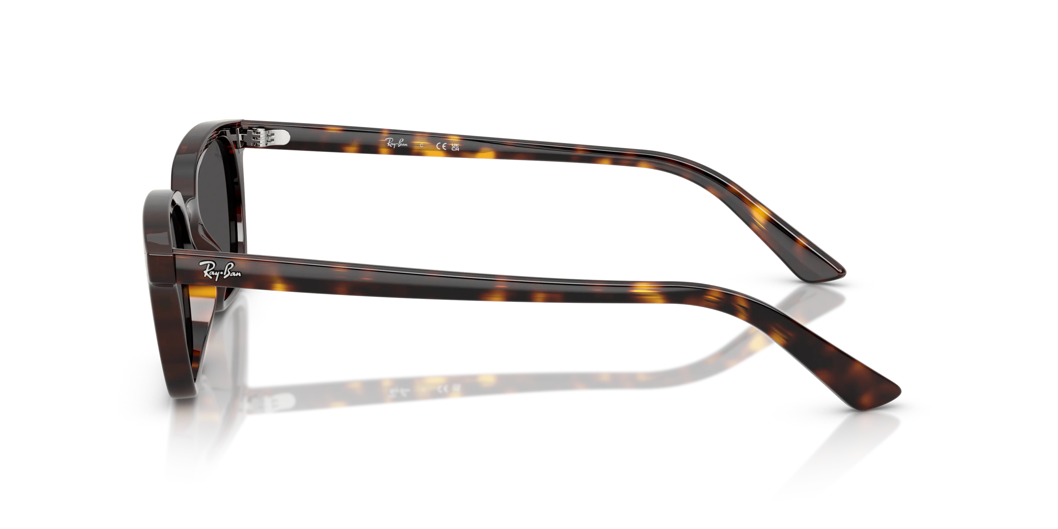 Angle_Left02, Ray-Ban Zaya Bio-Based 0RB4456 135987 Sonnenbrille