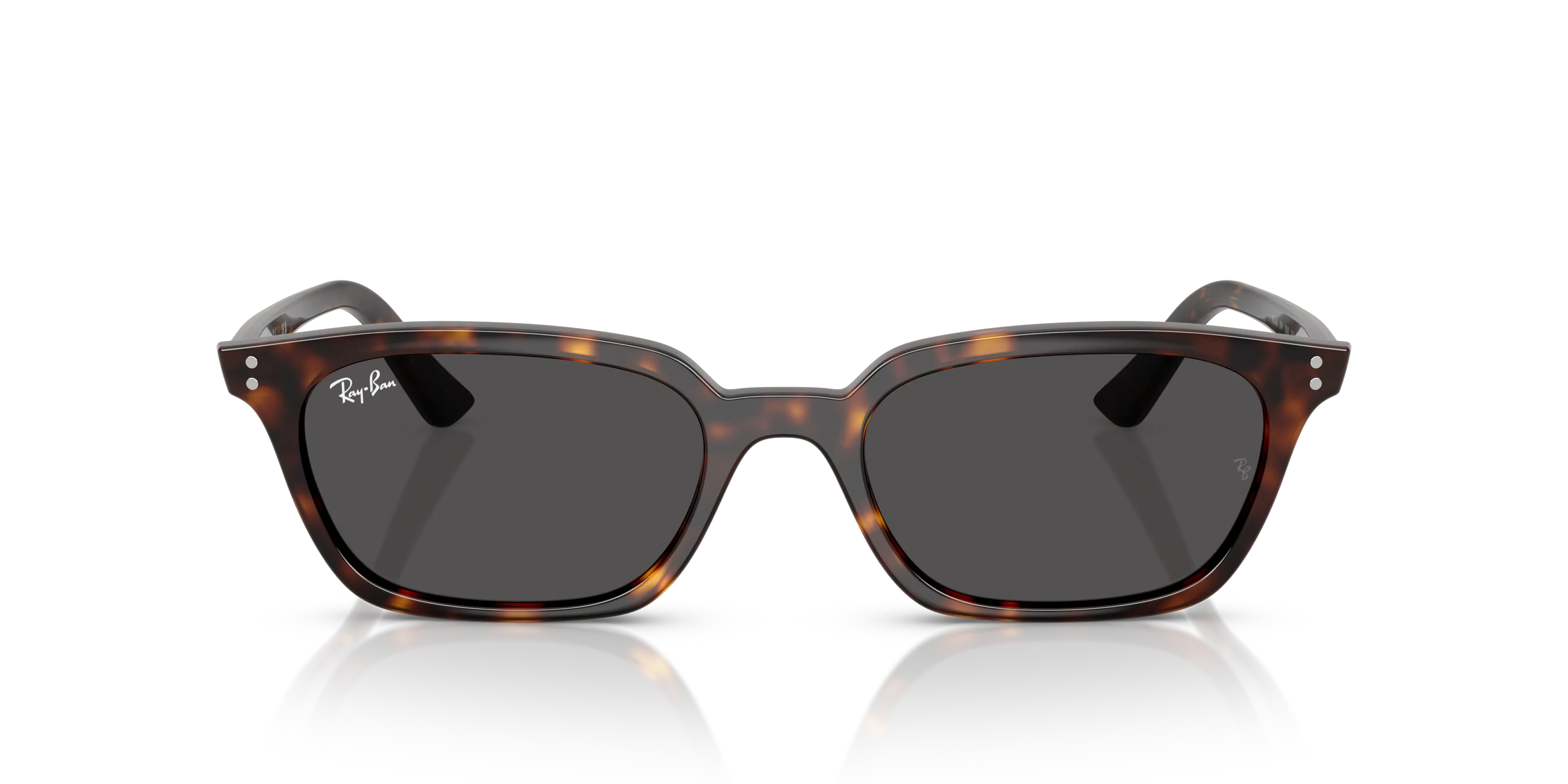 Front, Ray-Ban Zaya Bio-Based 0RB4456 135987 Sonnenbrille