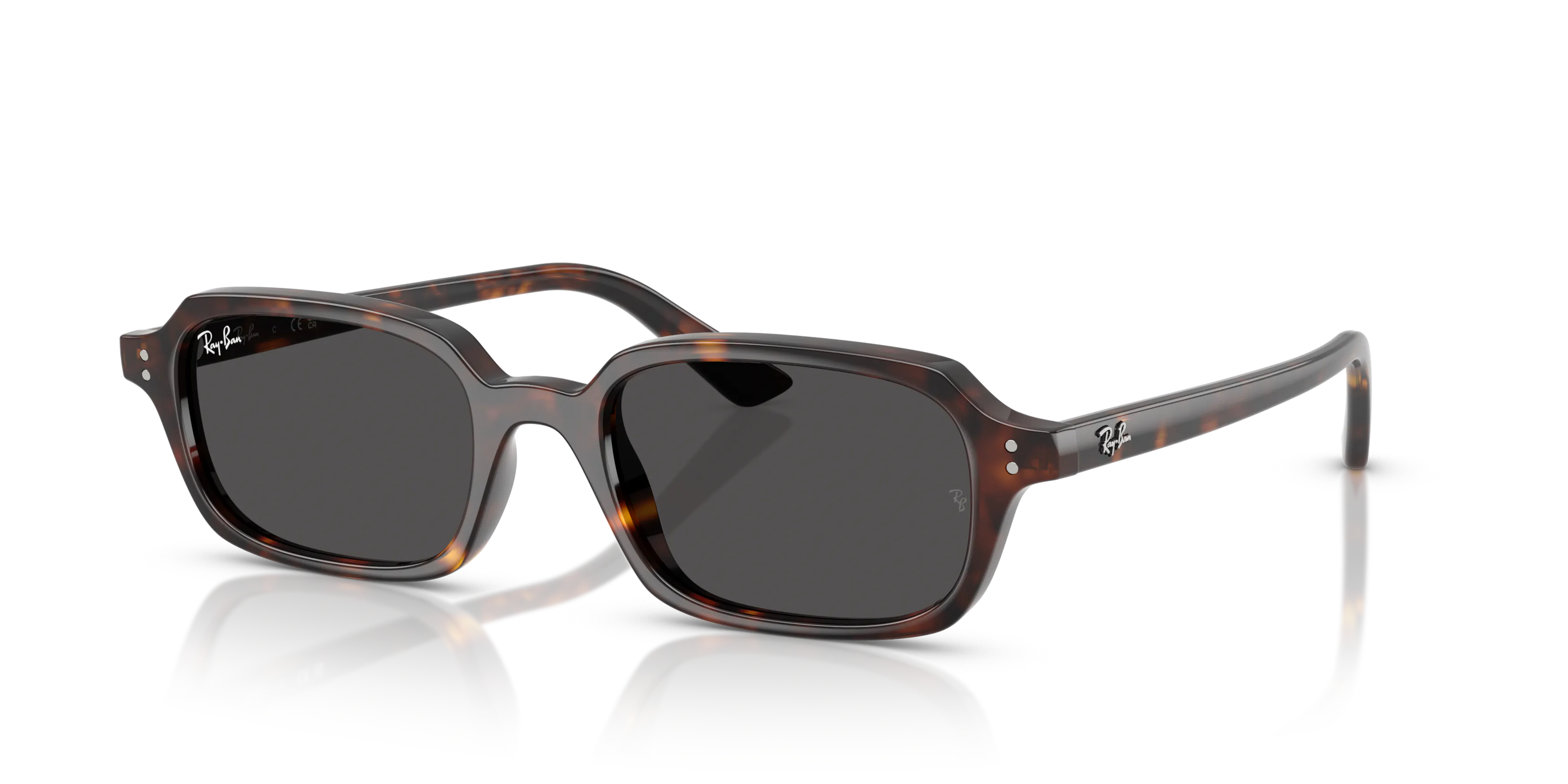 Angle_Left01, Ray-Ban Zuri Bio-Based 0RB4455 135987 Sonnenbrille