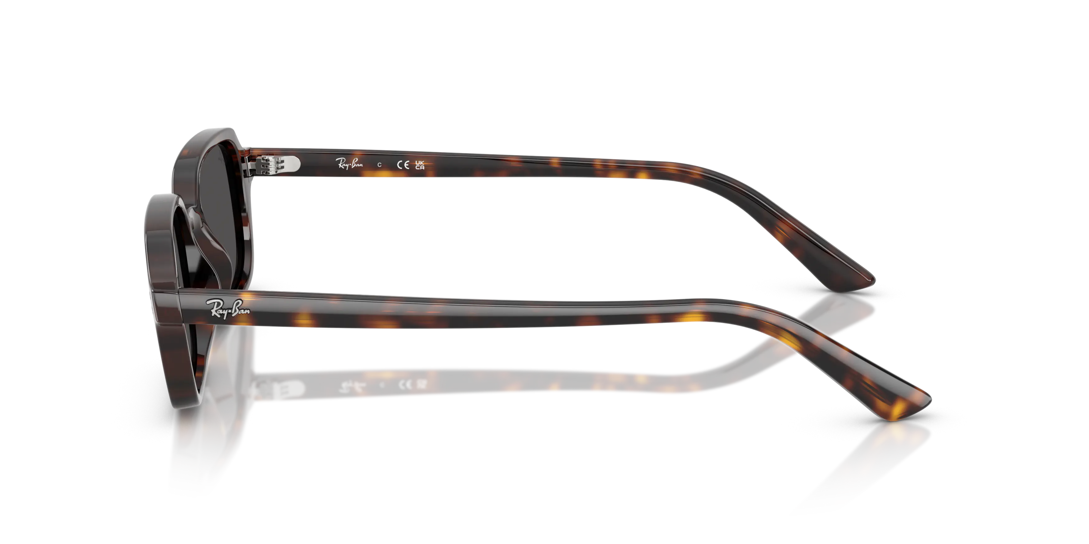 Angle_Left02, Ray-Ban Zuri Bio-Based 0RB4455 135987 Sonnenbrille
