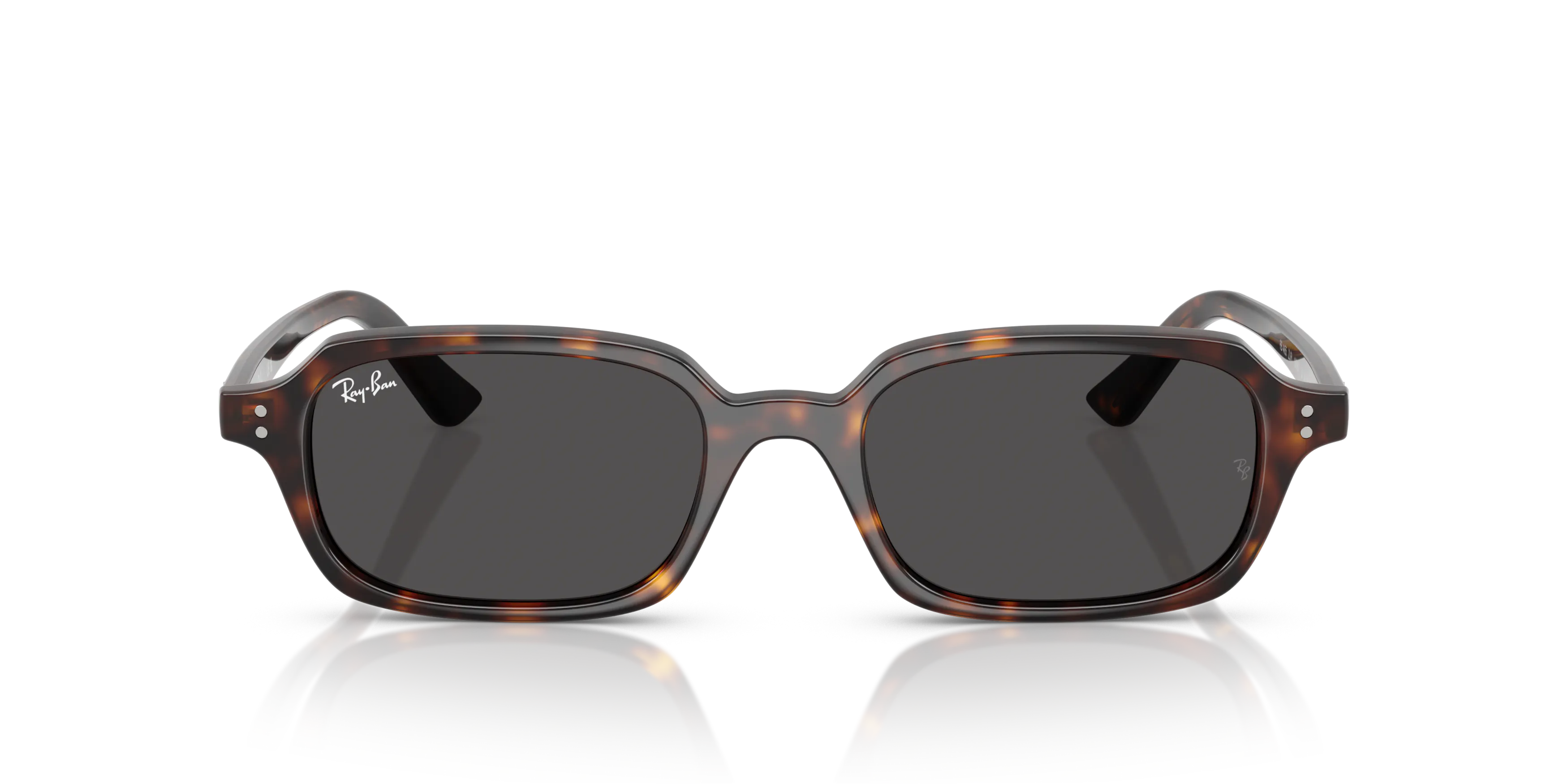Front, Ray-Ban Zuri Bio-Based 0RB4455 135987 Sonnenbrille
