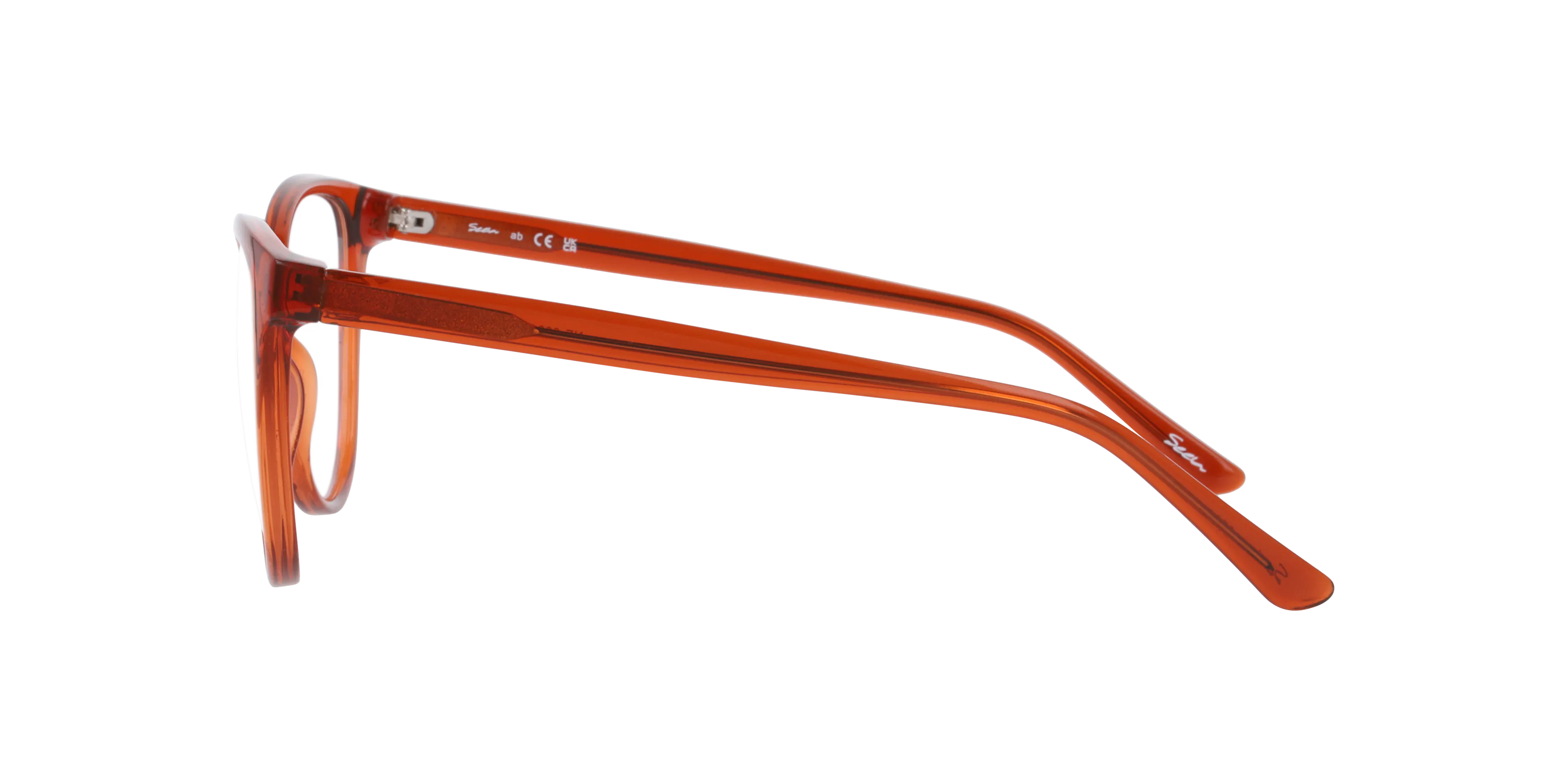 Angle_Left02, Seen 0NE3081 003 Brille