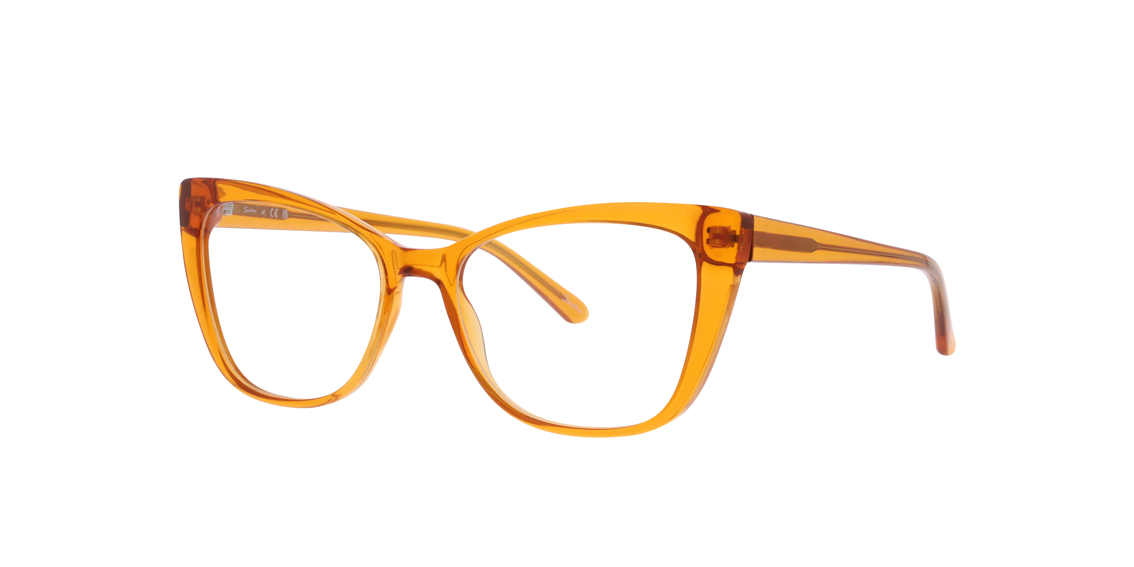 Angle_Left01, Seen NE3091 0NE3091 003 Brille