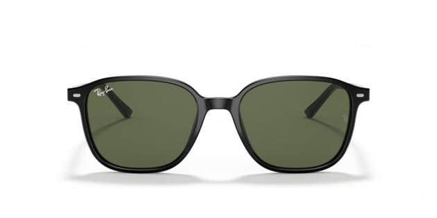 [products.image.front] Ray-Ban LEONARD 0RB2193 901/31 Sonnenbrille