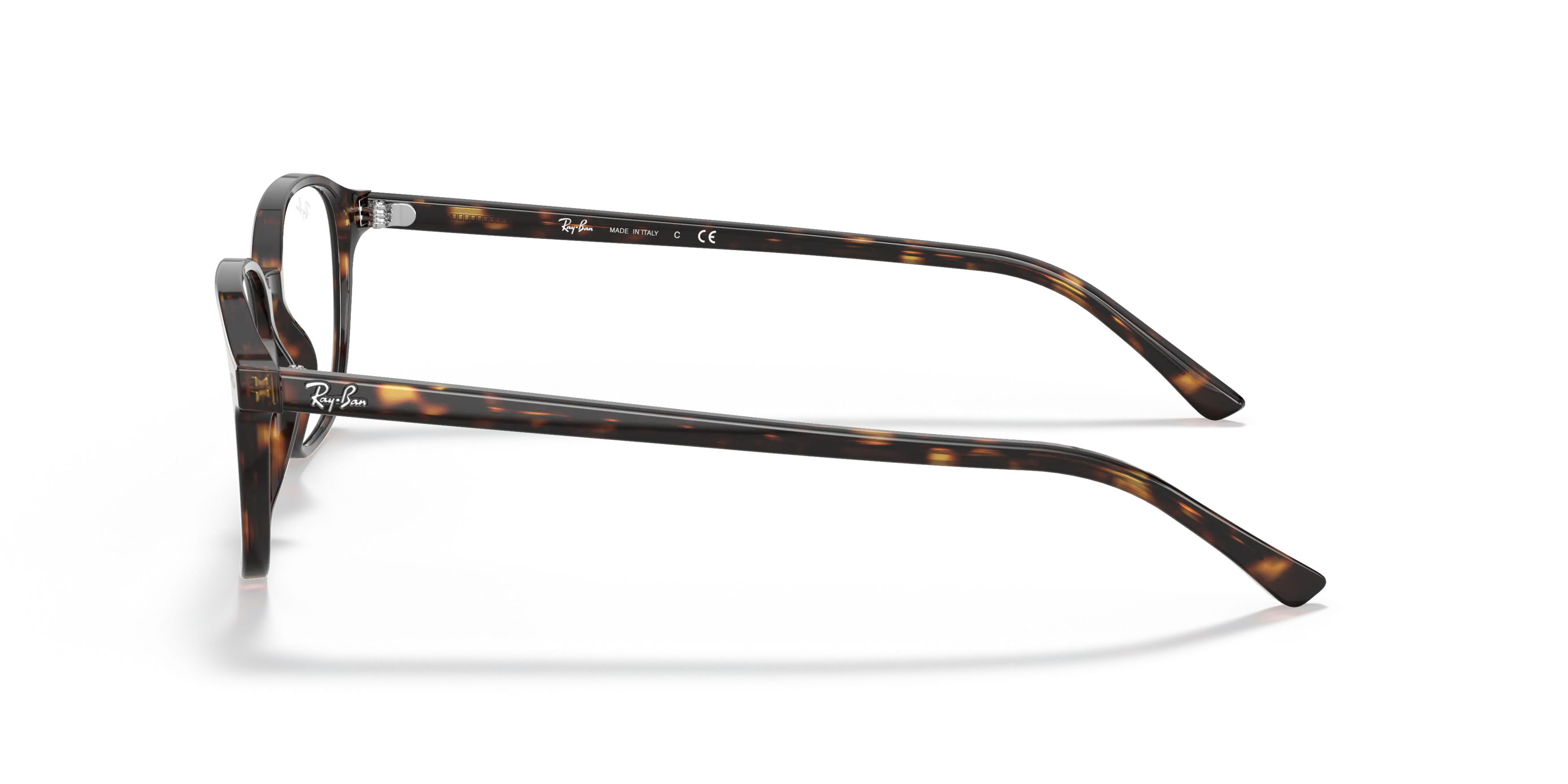 Angle_Left02, Ray-Ban Leonard Optics 0RX5393 2012 Brille
