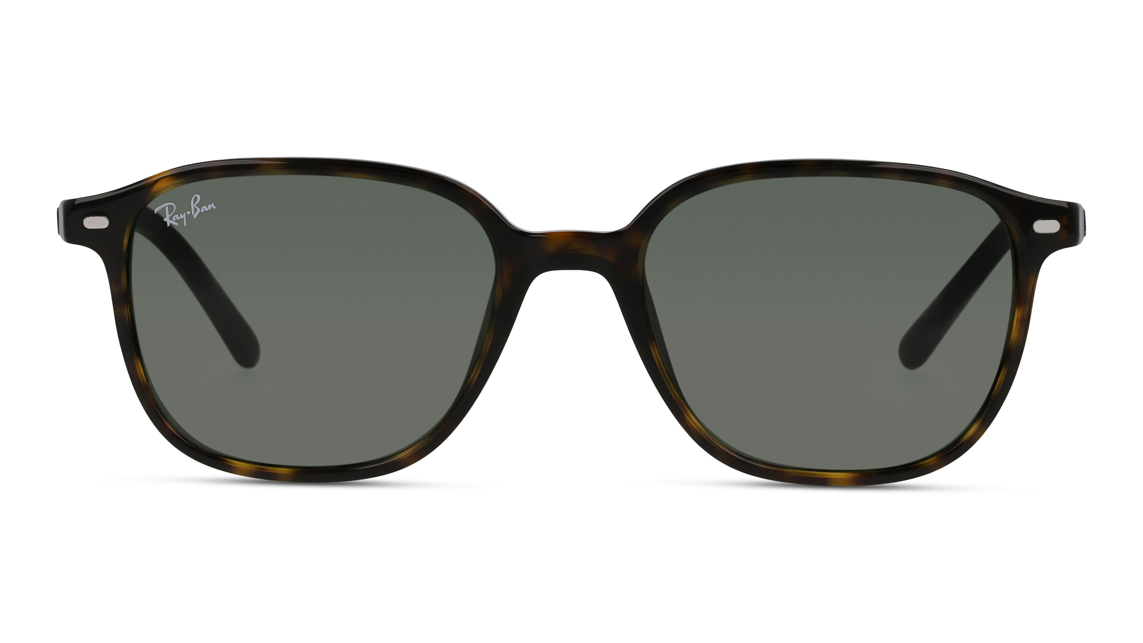 [products.image.front] Ray-Ban LEONARD 0RB2193 902/31 Sonnenbrille