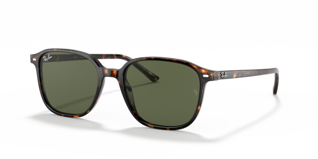 [products.image.angle_left01] Ray-Ban LEONARD 0RB2193 902/31 Sonnenbrille