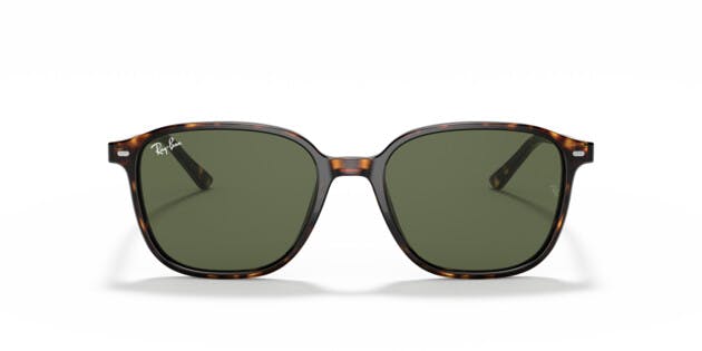 [products.image.front] Ray-Ban LEONARD 0RB2193 902/31 Sonnenbrille