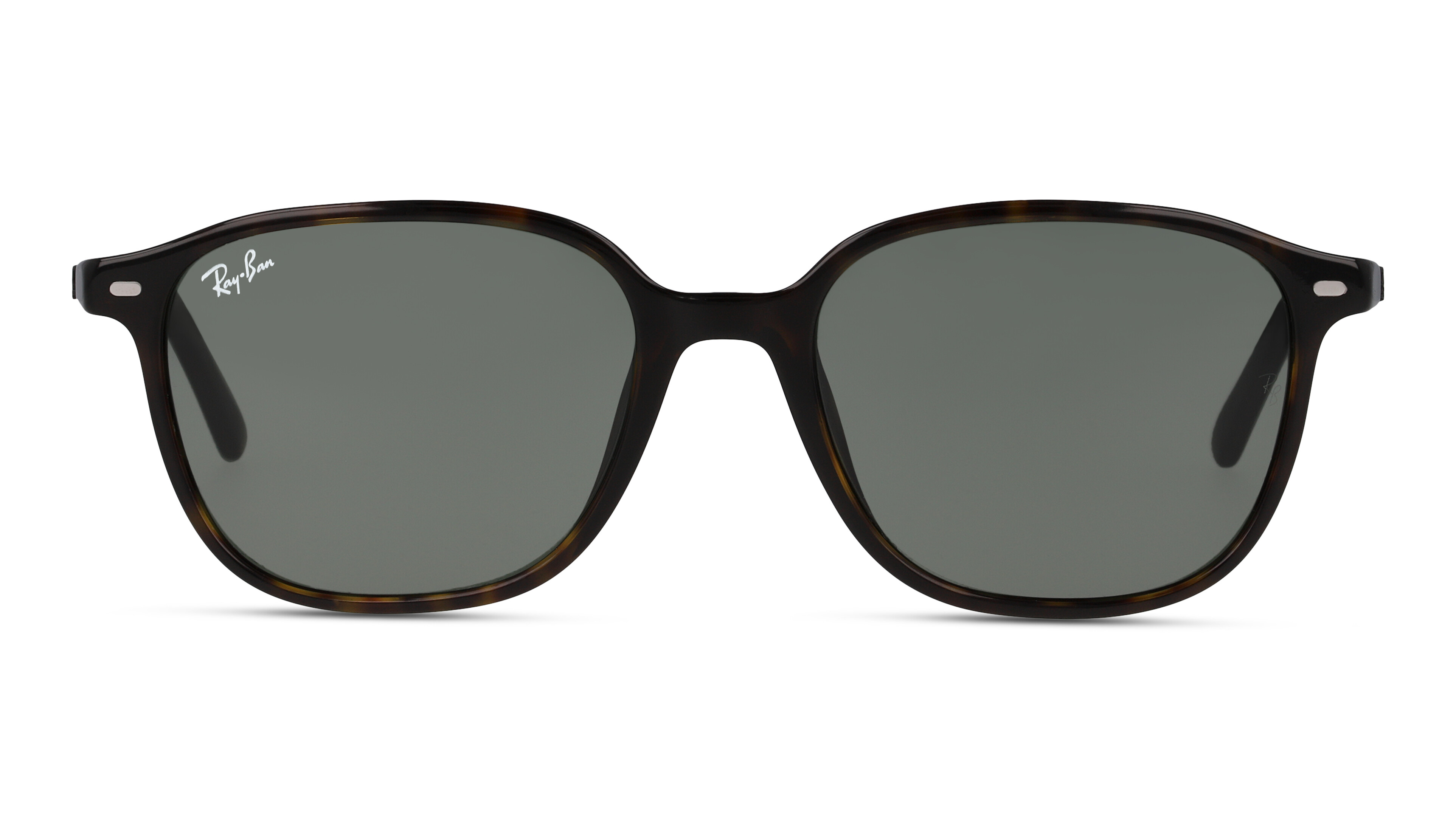 [products.image.front] Ray-Ban LEONARD 0RB2193 902/31 Sonnenbrille