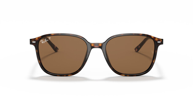 [products.image.front] Ray-Ban LEONARD 0RB2193 902/57 Sonnenbrille