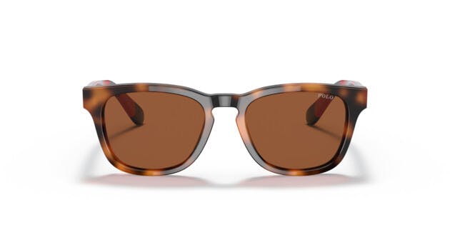 Front, PoloPrep 0PP9503 530373 Sonnenbrille