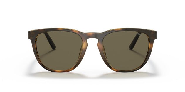 Polo Ralph Lauren 0PH4182U 5003/3 | Apollo