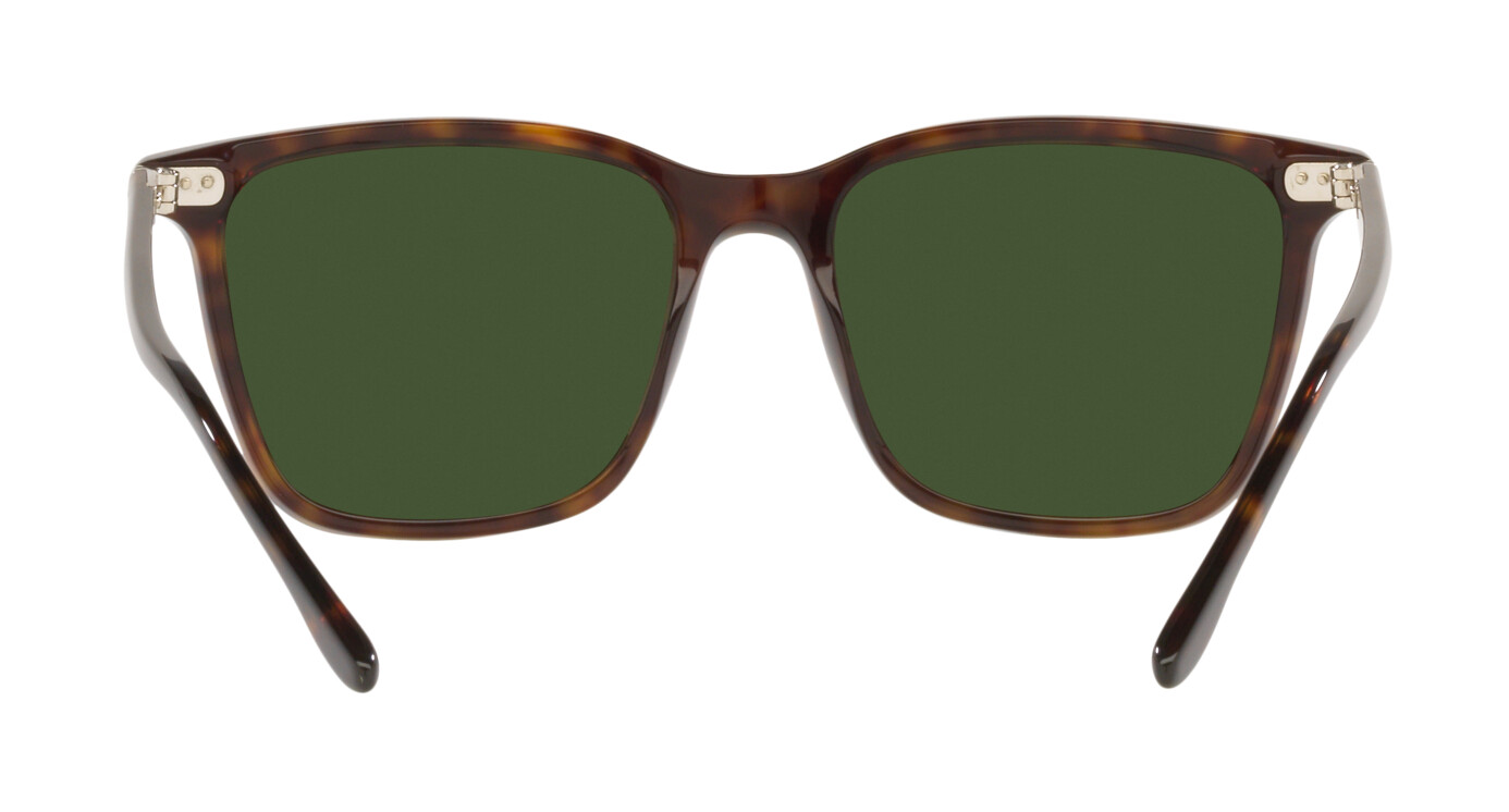 [products.image.zoom] Ralph Lauren 0RL8199 500371 Sonnenbrille